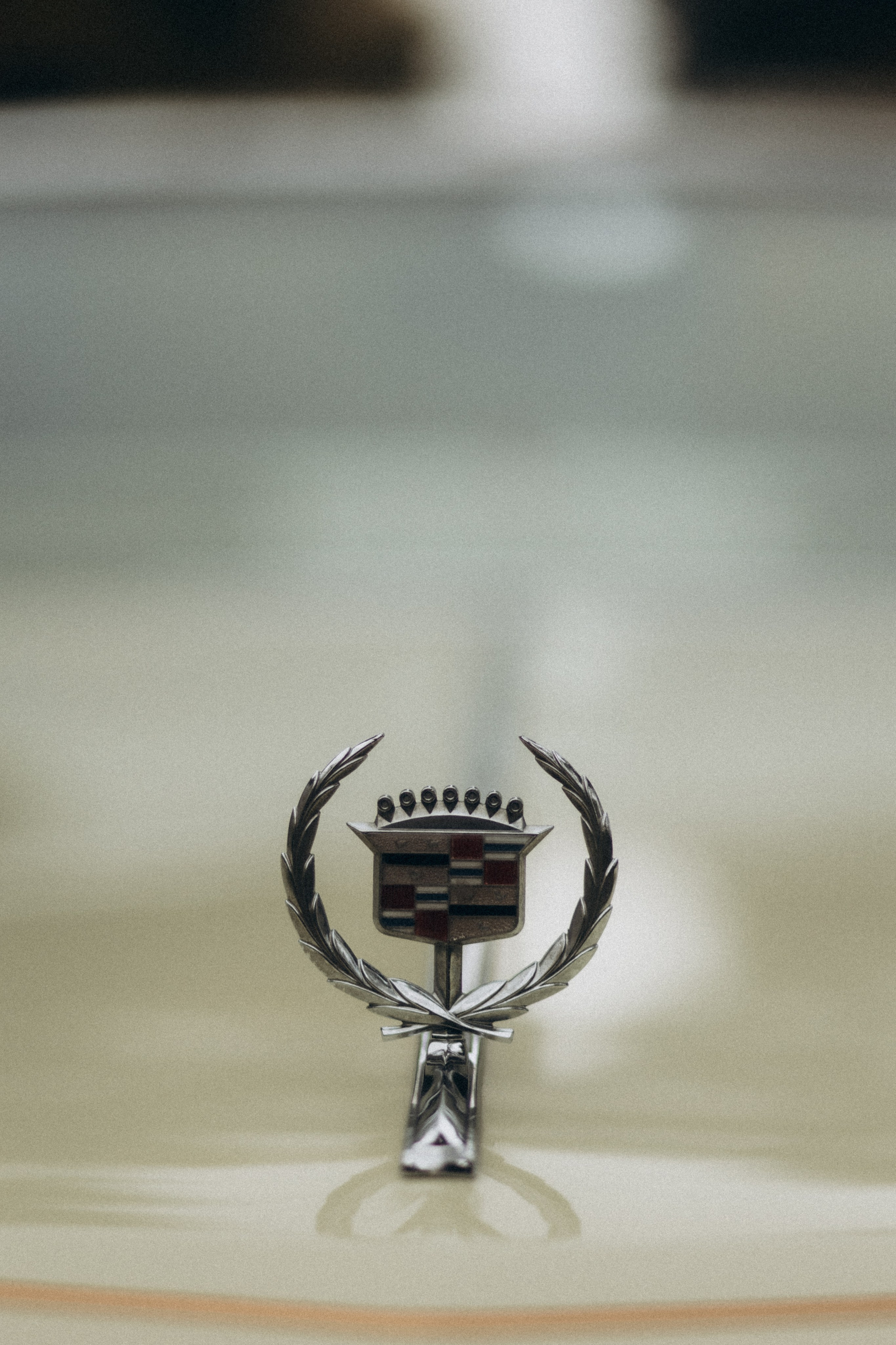 Олег и Алевтина. Фотограф Артем Бросов в Санкт-Петербурге и Дубае