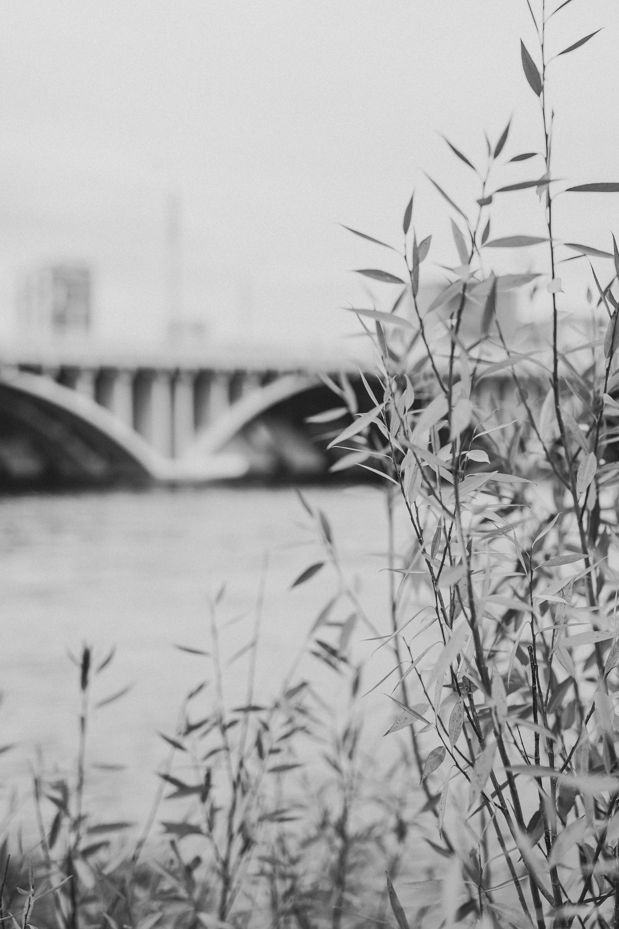 Семья Качалковых. Фотограф Анастасия Петрова