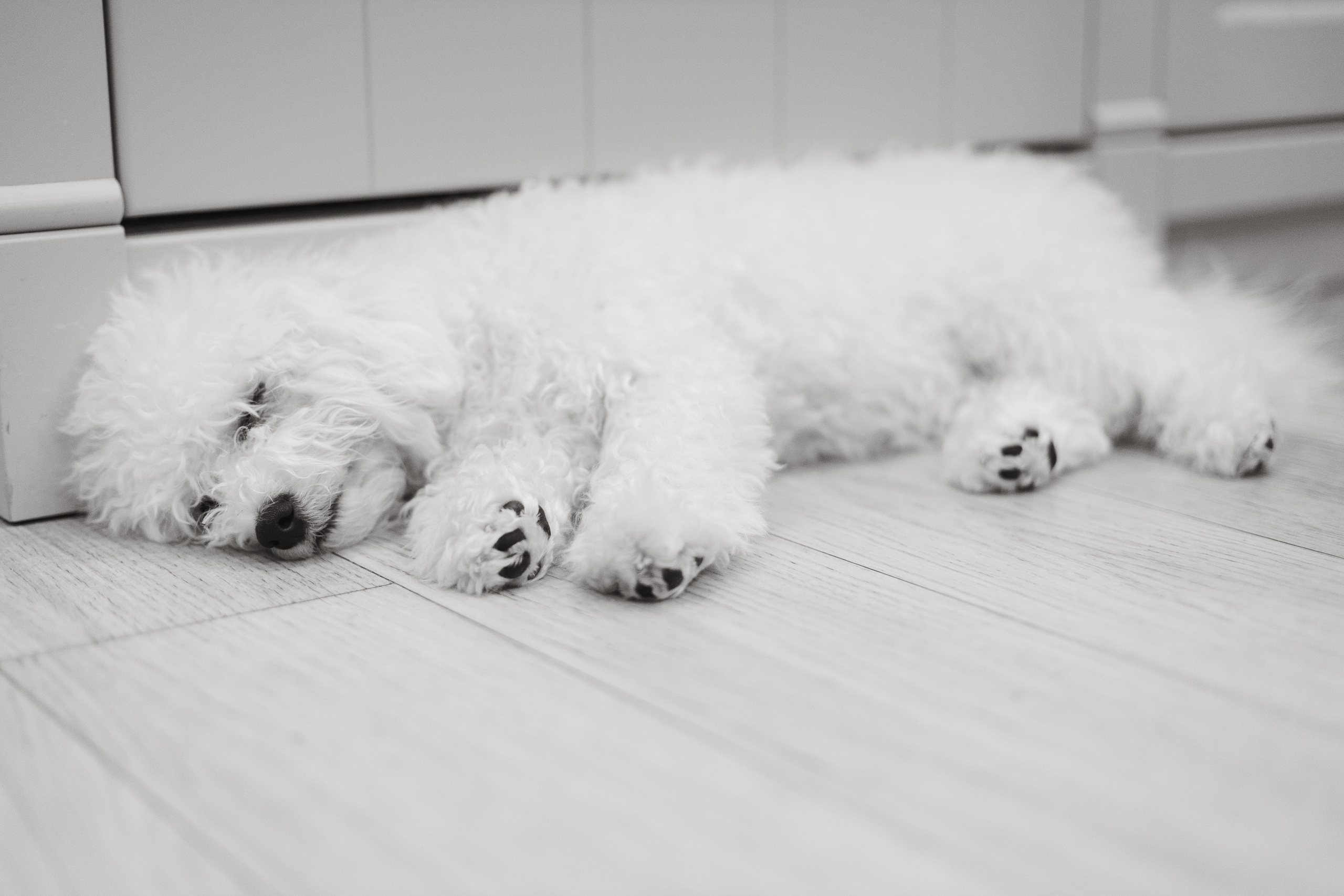 Зимние каникулы. Свадебный и портретный фотограф в Королёве Сергей Чихарев
