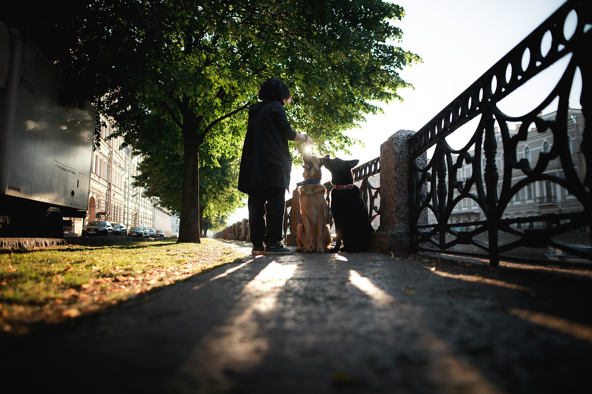 Алена, Кай и Мара. Фотограф-анималист Mary Mart — Москва, Питер