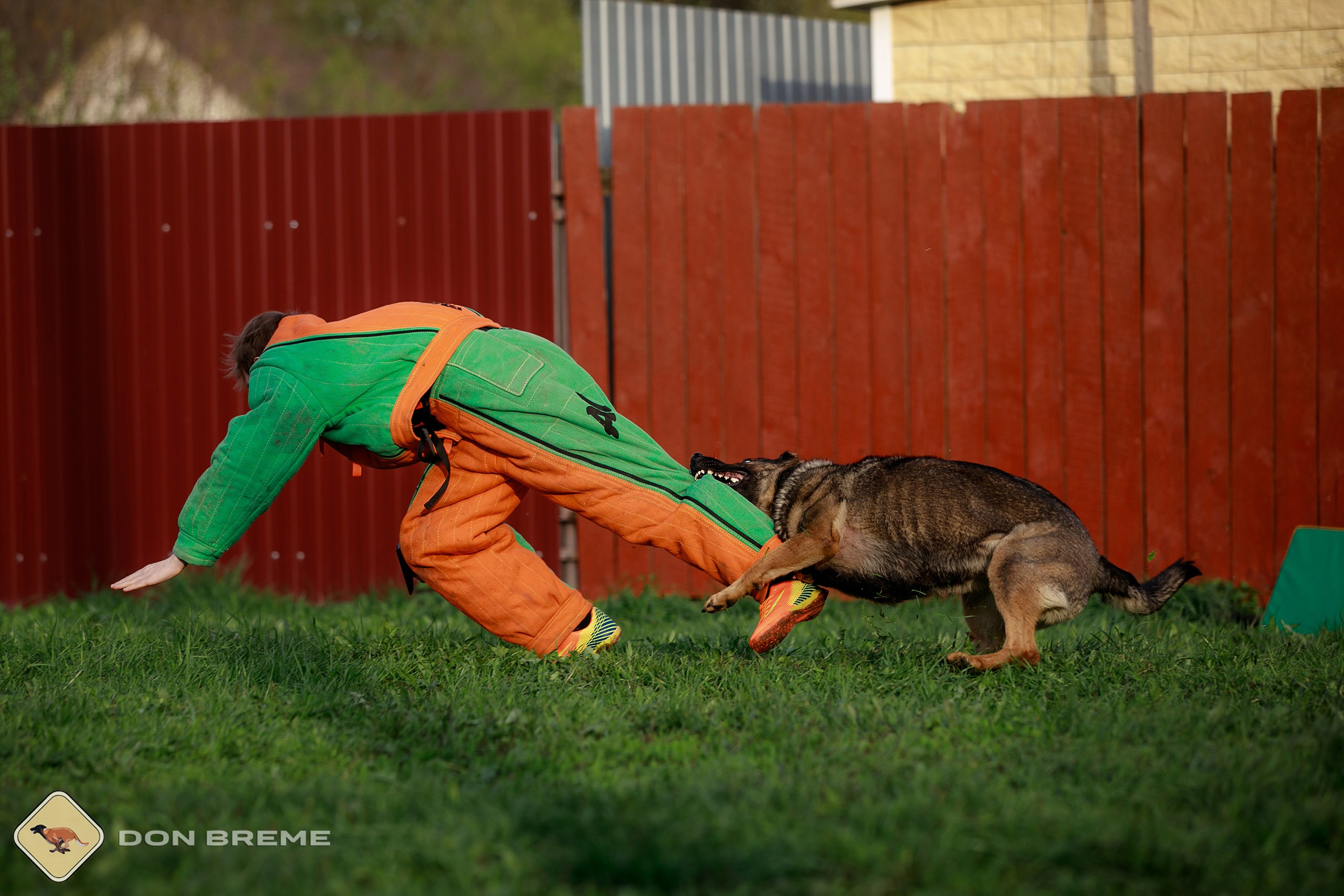 Семинар для фигурантов, день 2. Фотограф-анималист Mary Mart — Москва, Питер