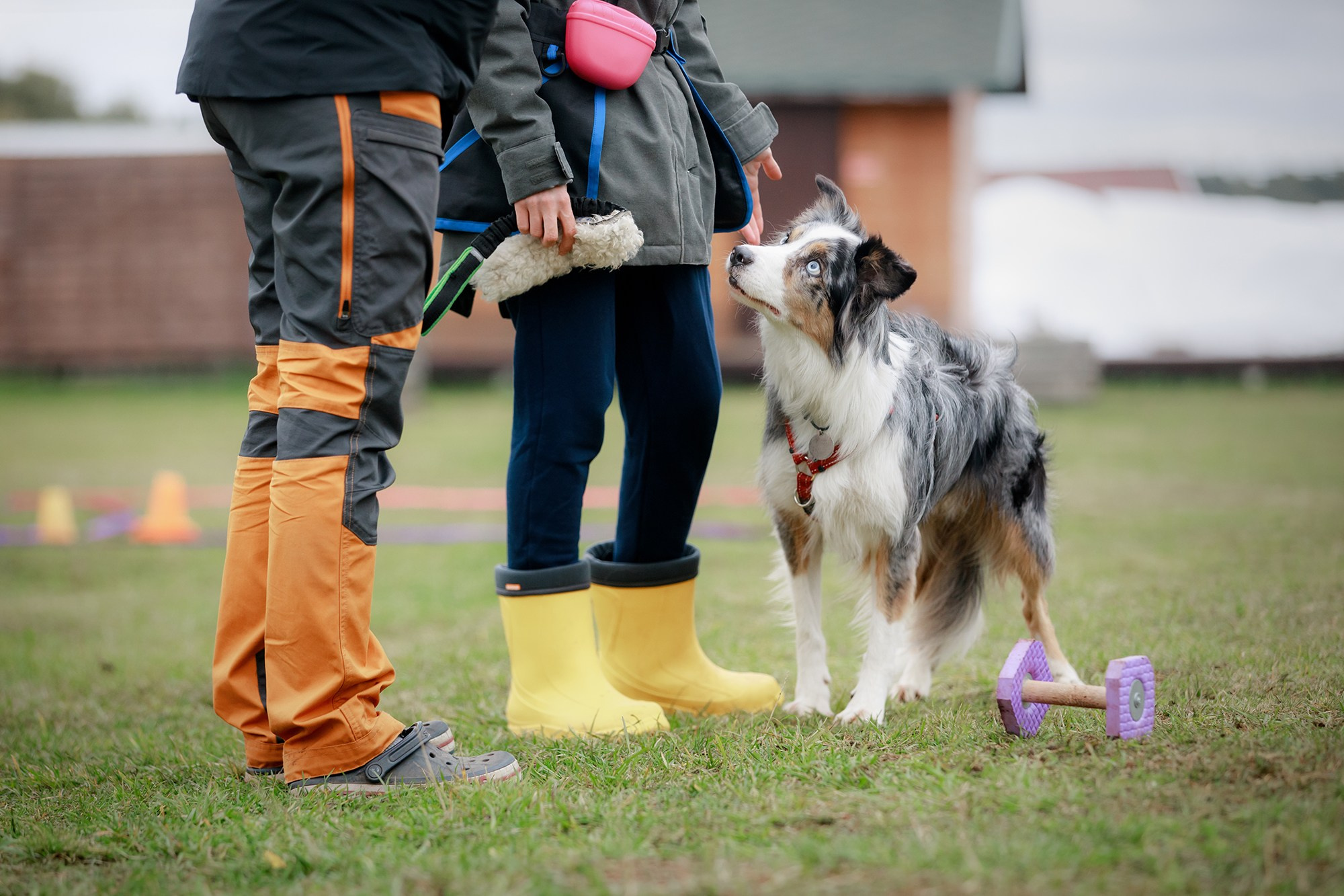 Лагерь по ОБД с Инной Баженовой. Фотограф-анималист Mary Mart — Москва, Питер