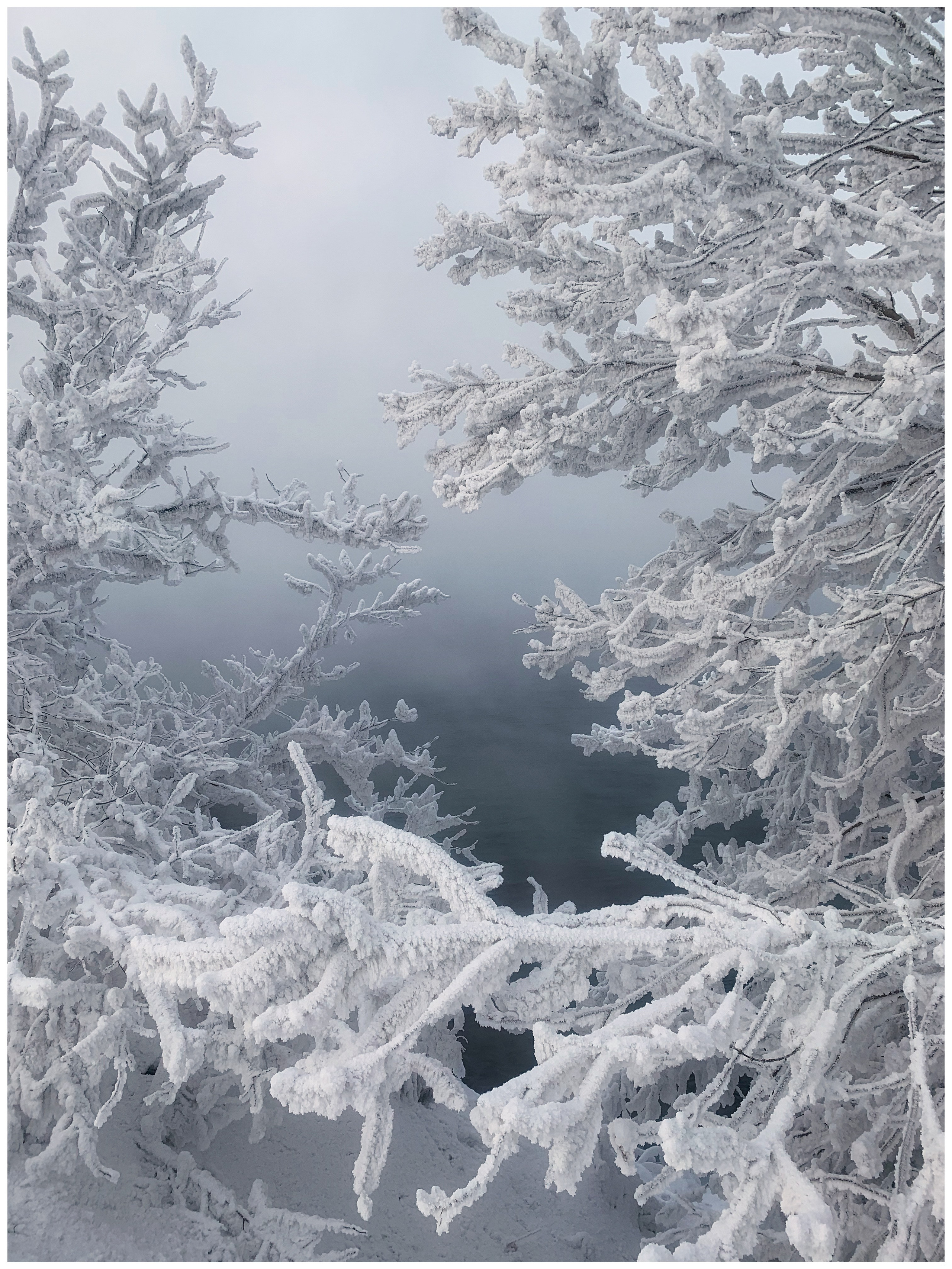 2020. Тащилин Сергей. Фотографии. Жизнь. Хобби