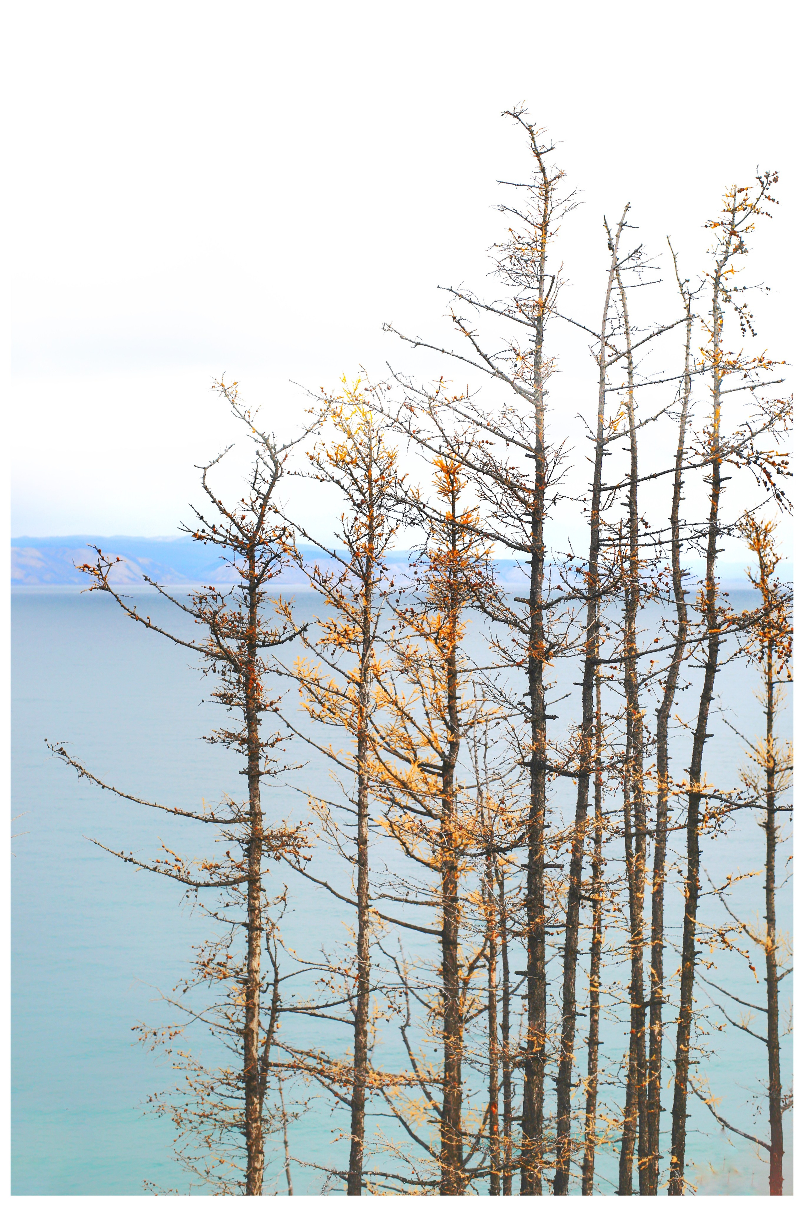 2020. Тащилин Сергей. Фотографии. Жизнь. Хобби