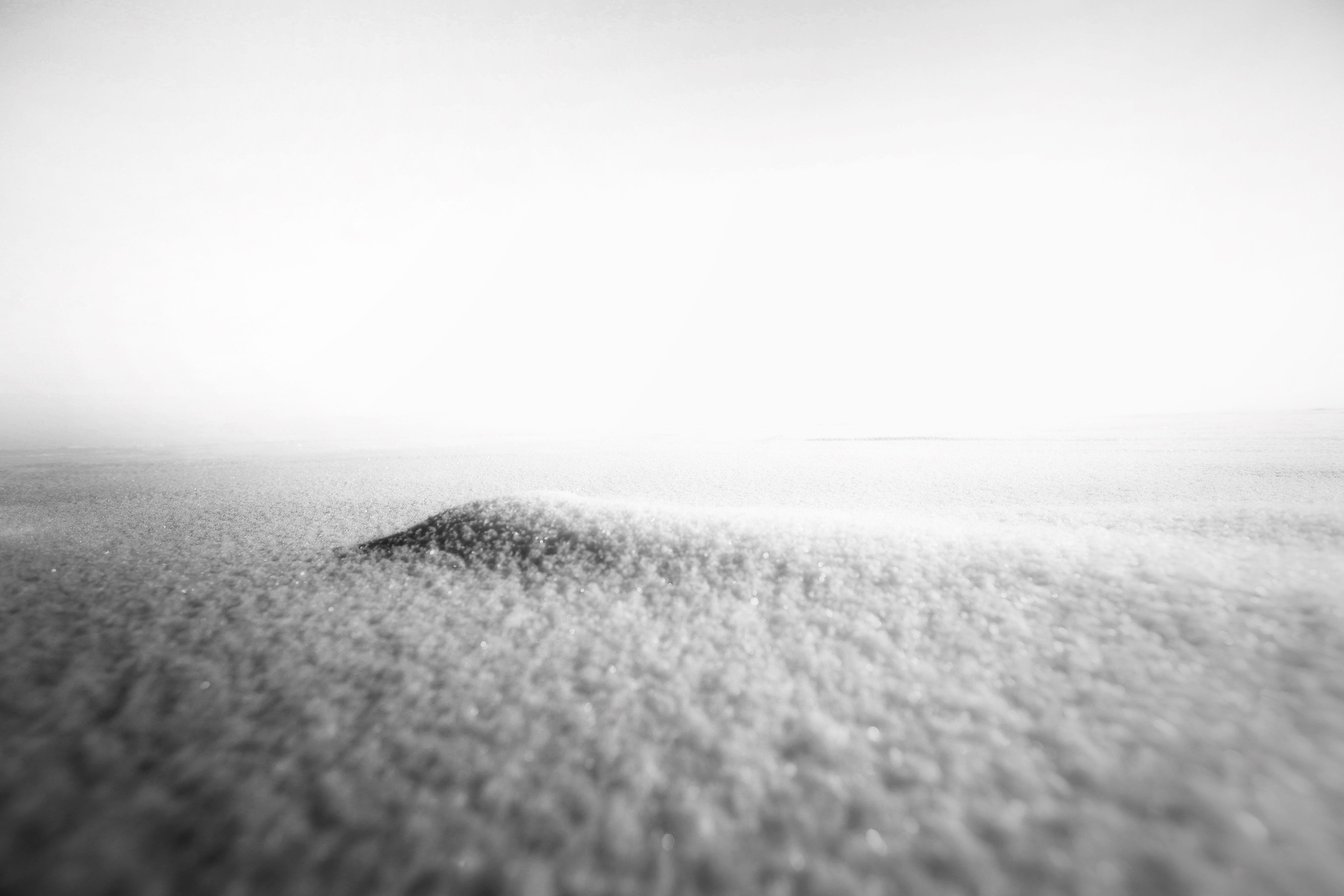 2022. Тащилин Сергей. Фотографии. Жизнь. Хобби