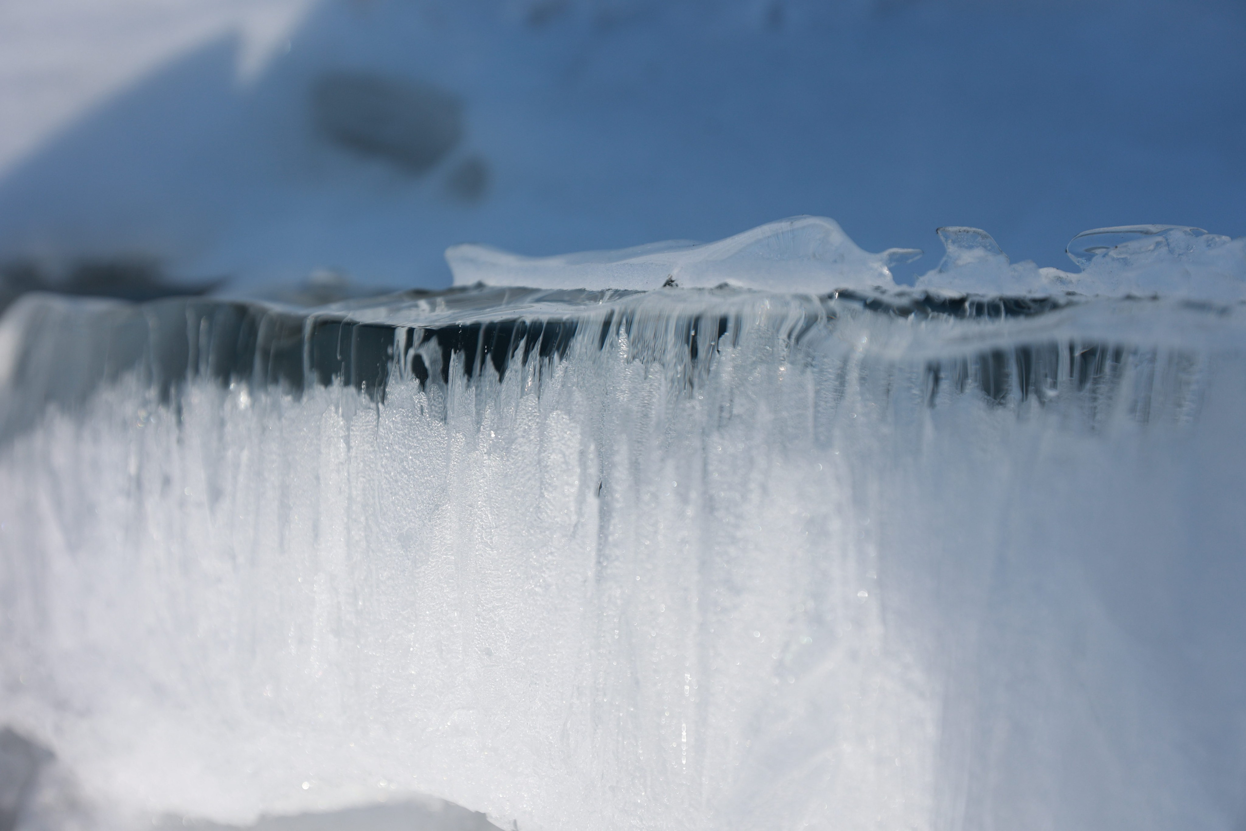 2022. Тащилин Сергей. Фотографии. Жизнь. Хобби