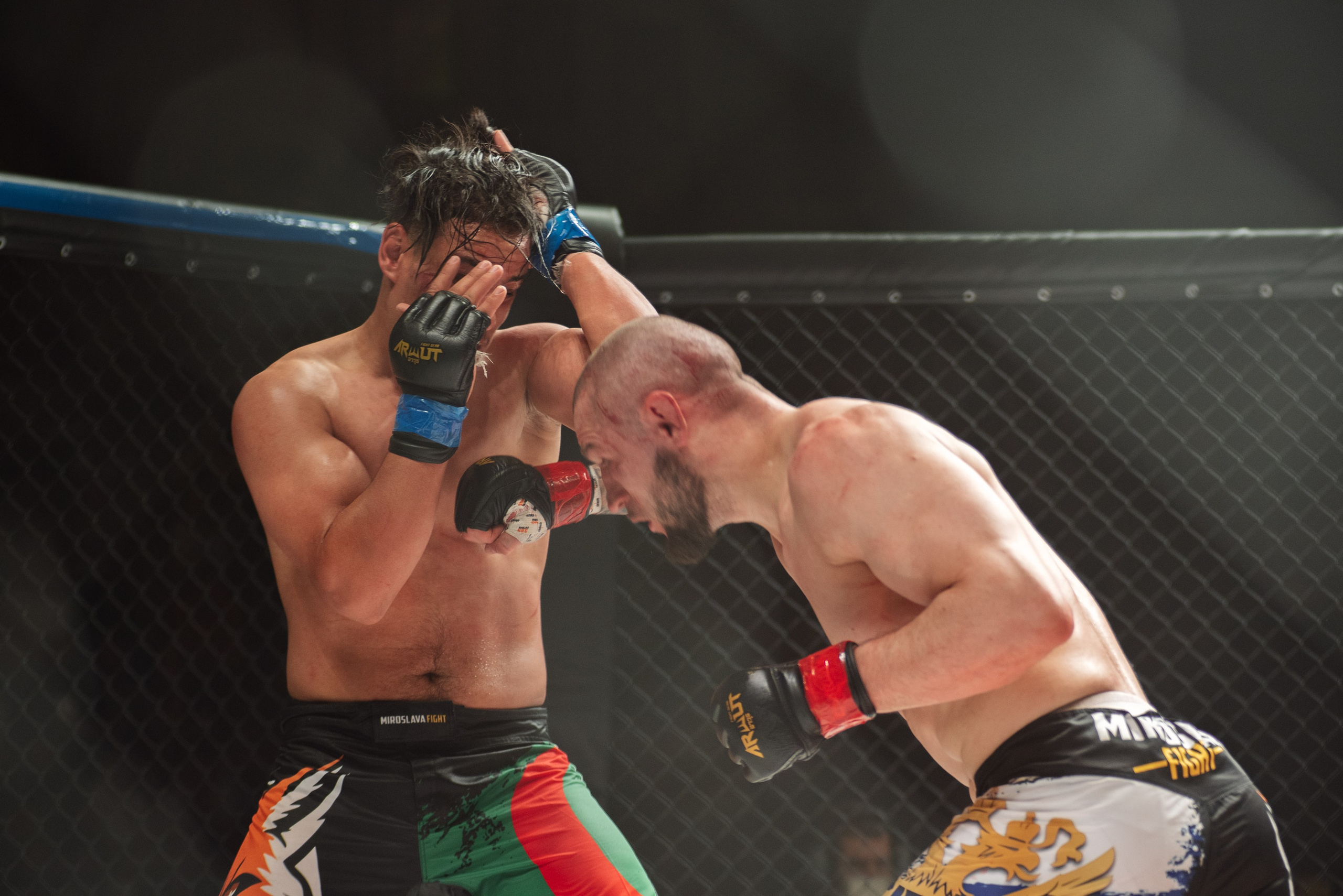 Miroslava Fight