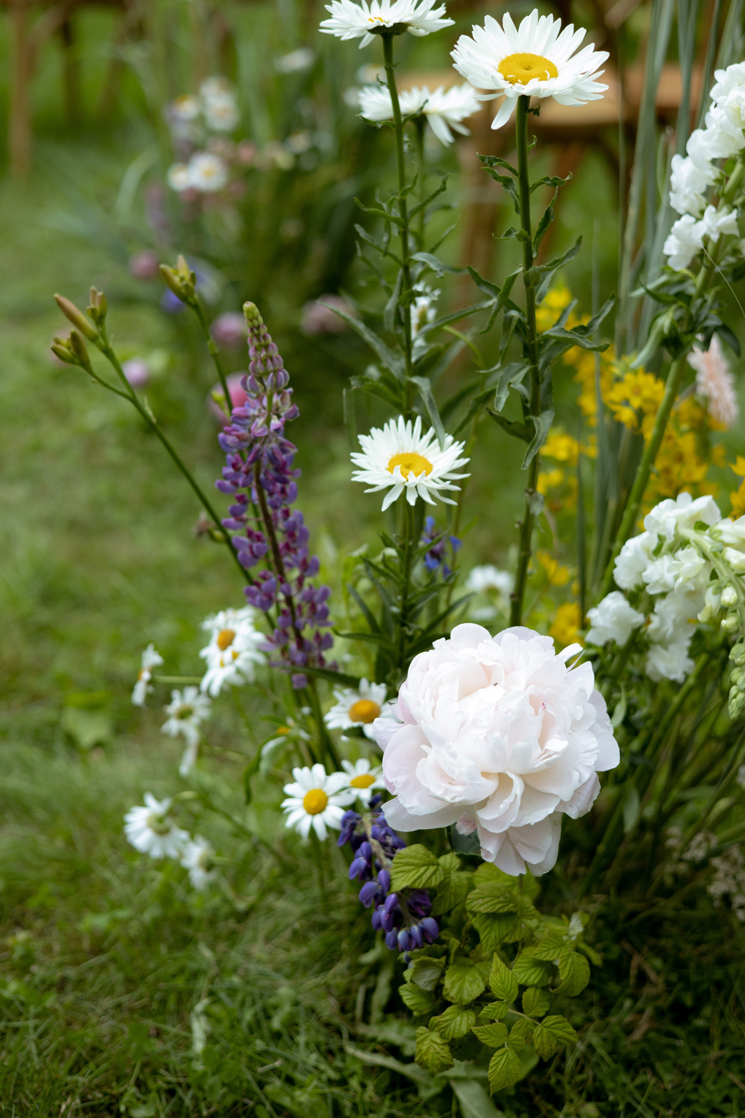 Павел & Полина. Оформление свадеб, декор свадеб Вера Маркова, Москва