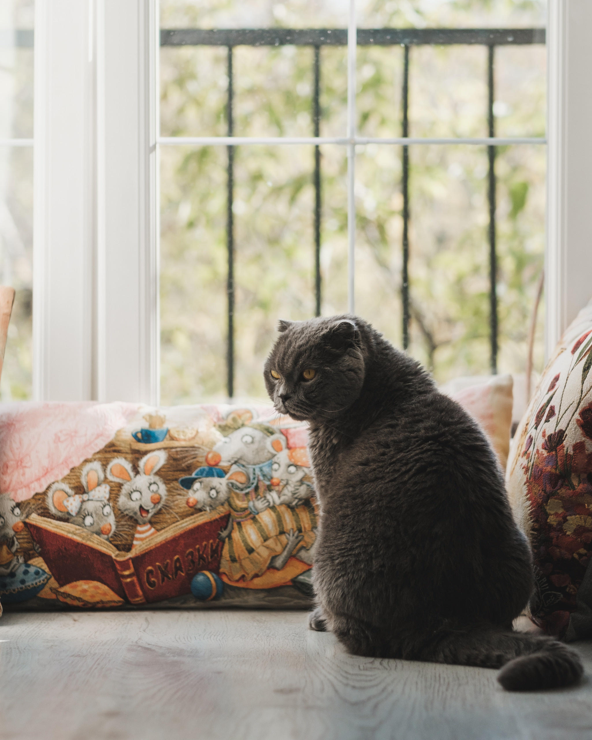 Отзывы о работе | Светлана Потемкина. Семейный и детский фотограф в Москве Светлана Потемкина