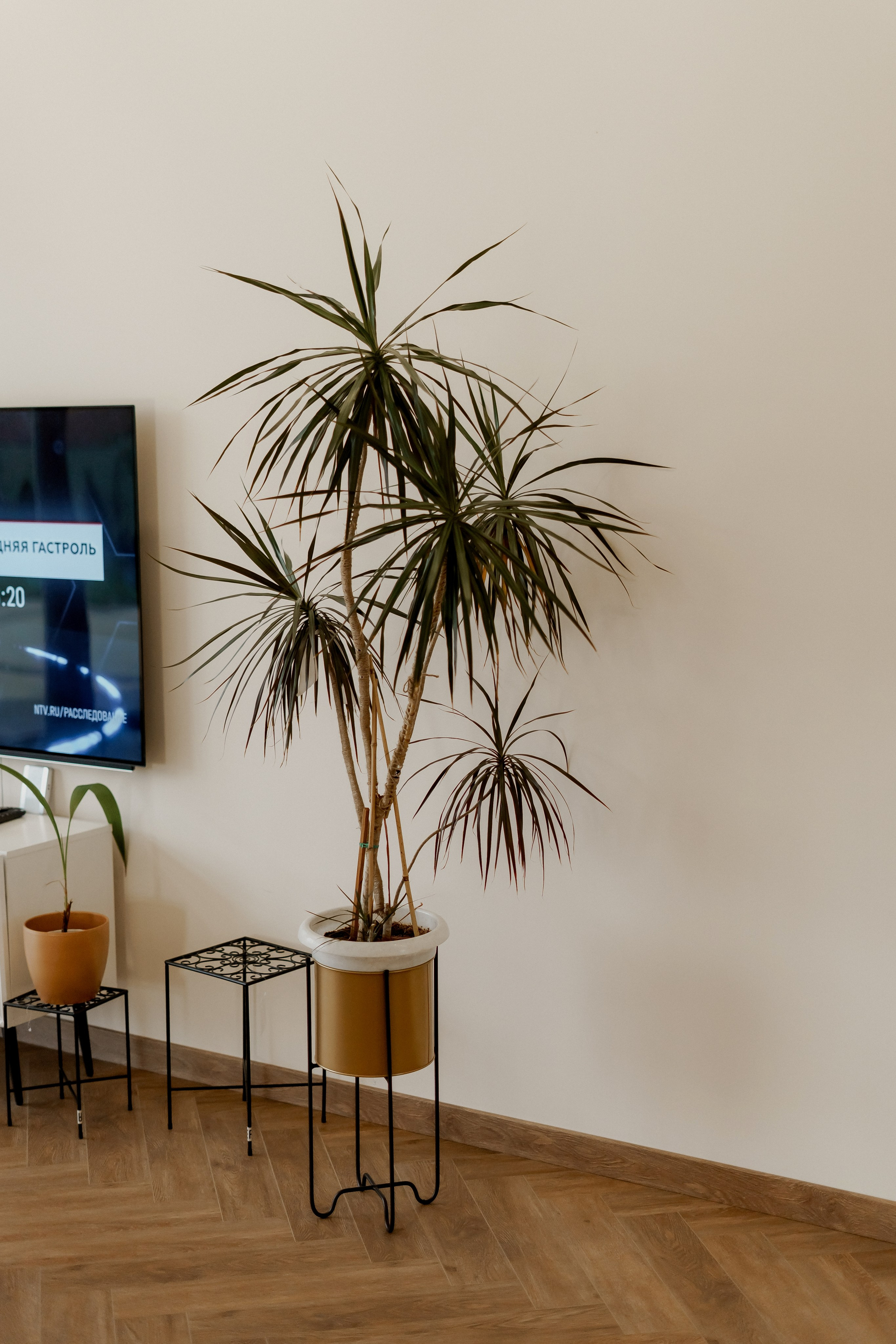 День рождения Татьяны. Фотограф Валерия Крахмалева