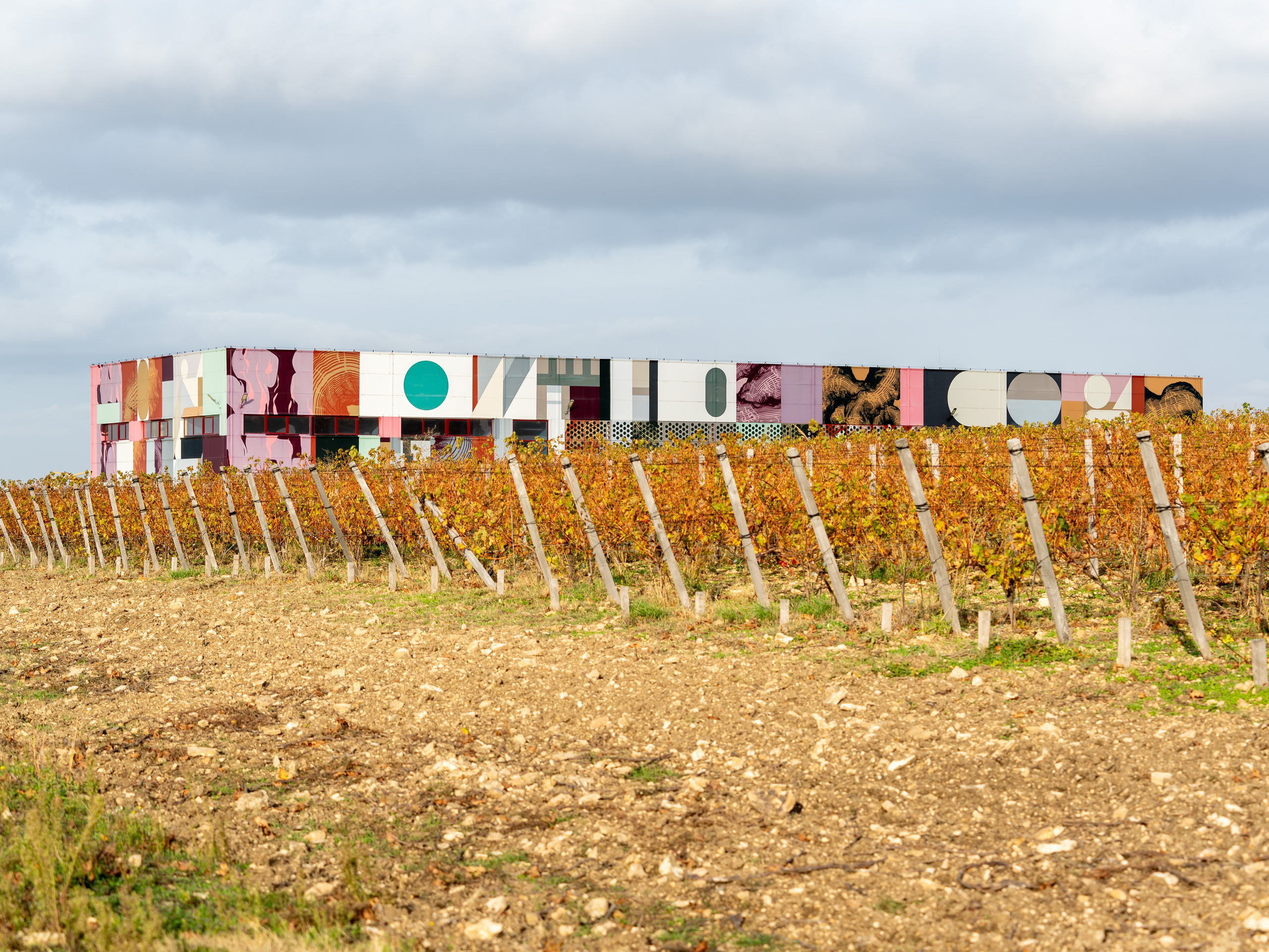 Литературная мастерская с Ольгой Шутовой в «Винотеррии». Репортажный фотограф в Красной Поляне и Сочи Павлюченко Екатерина
