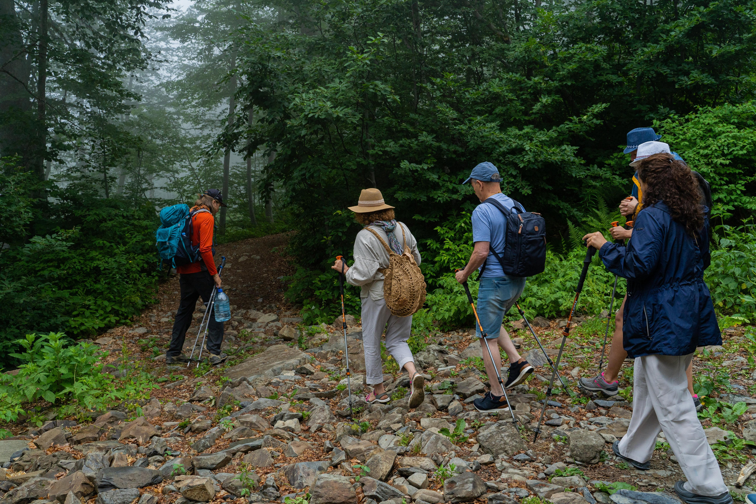 Психологический тренинг на озере Зеркальное. Репортажный фотограф в Красной Поляне и Сочи Павлюченко Екатерина