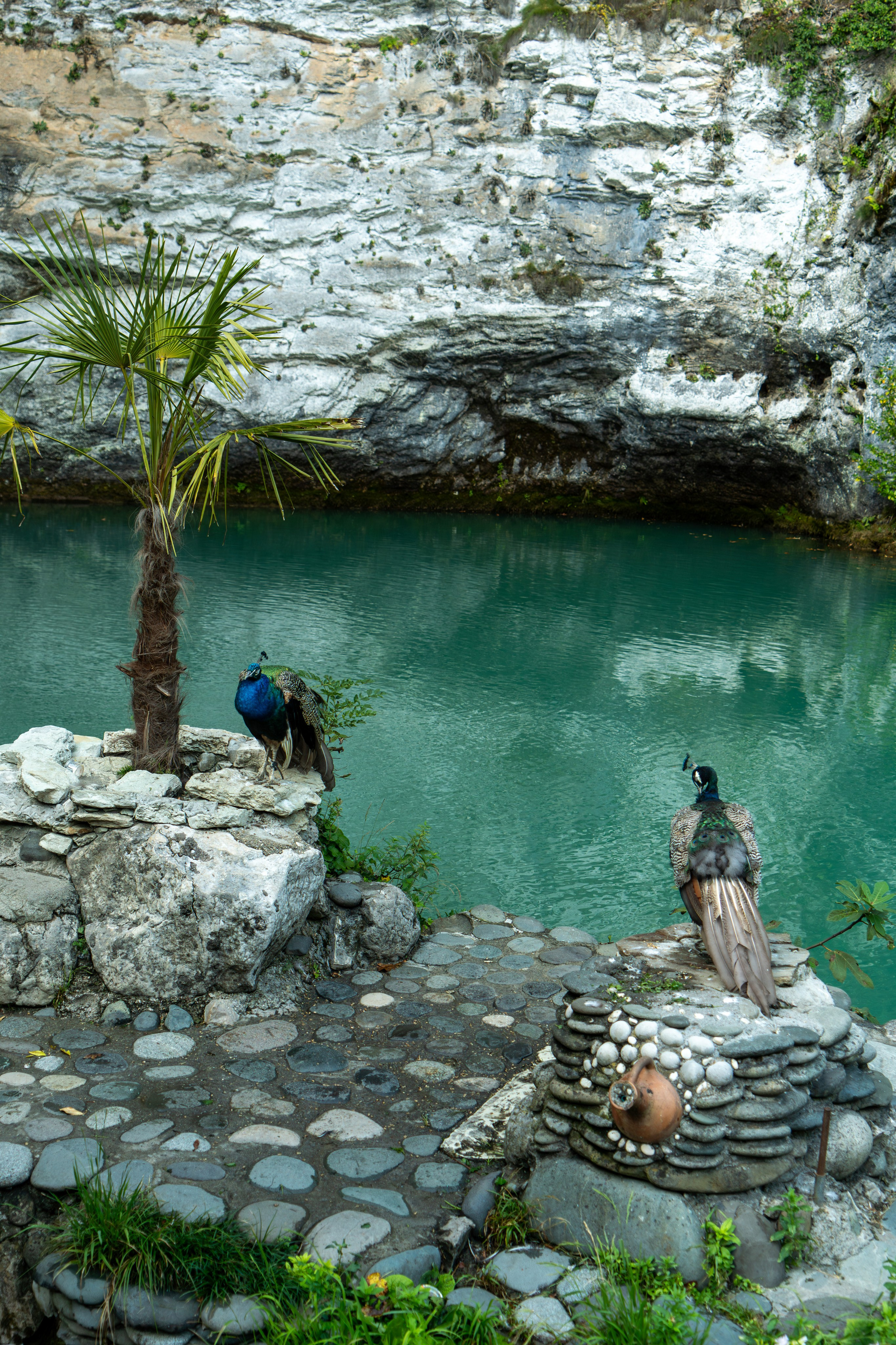 MICE мероприятие — тур по Абхазии. Репортажный фотограф в Красной Поляне и Сочи Павлюченко Екатерина