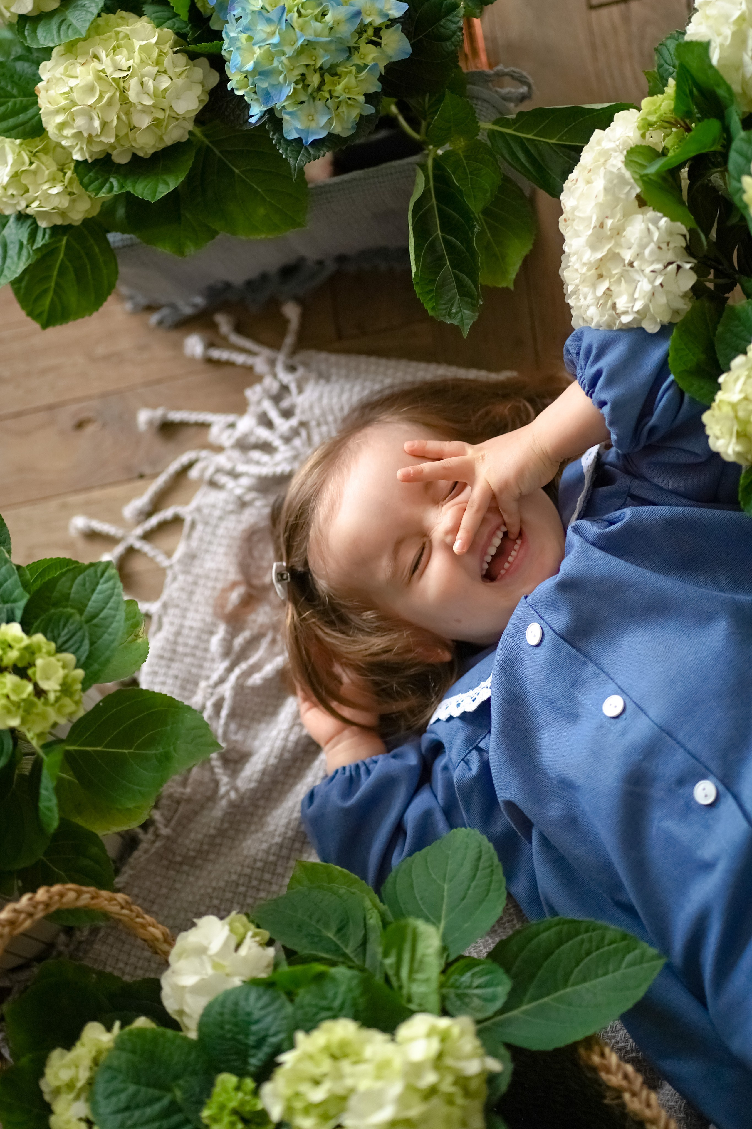 Маленький цветочек. Фотограф Татьяна Митрофанова