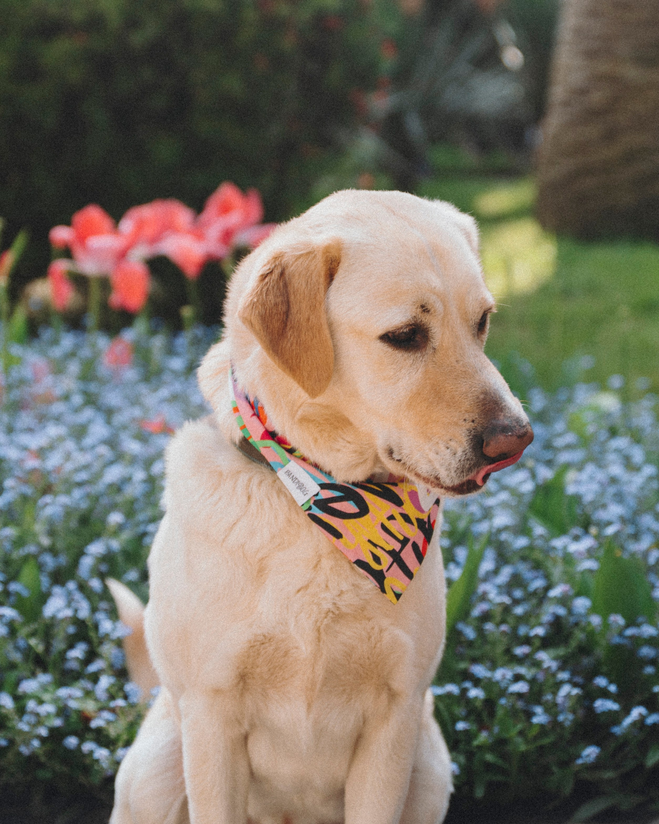 Животные. Фотограф Сочи-Краснодар