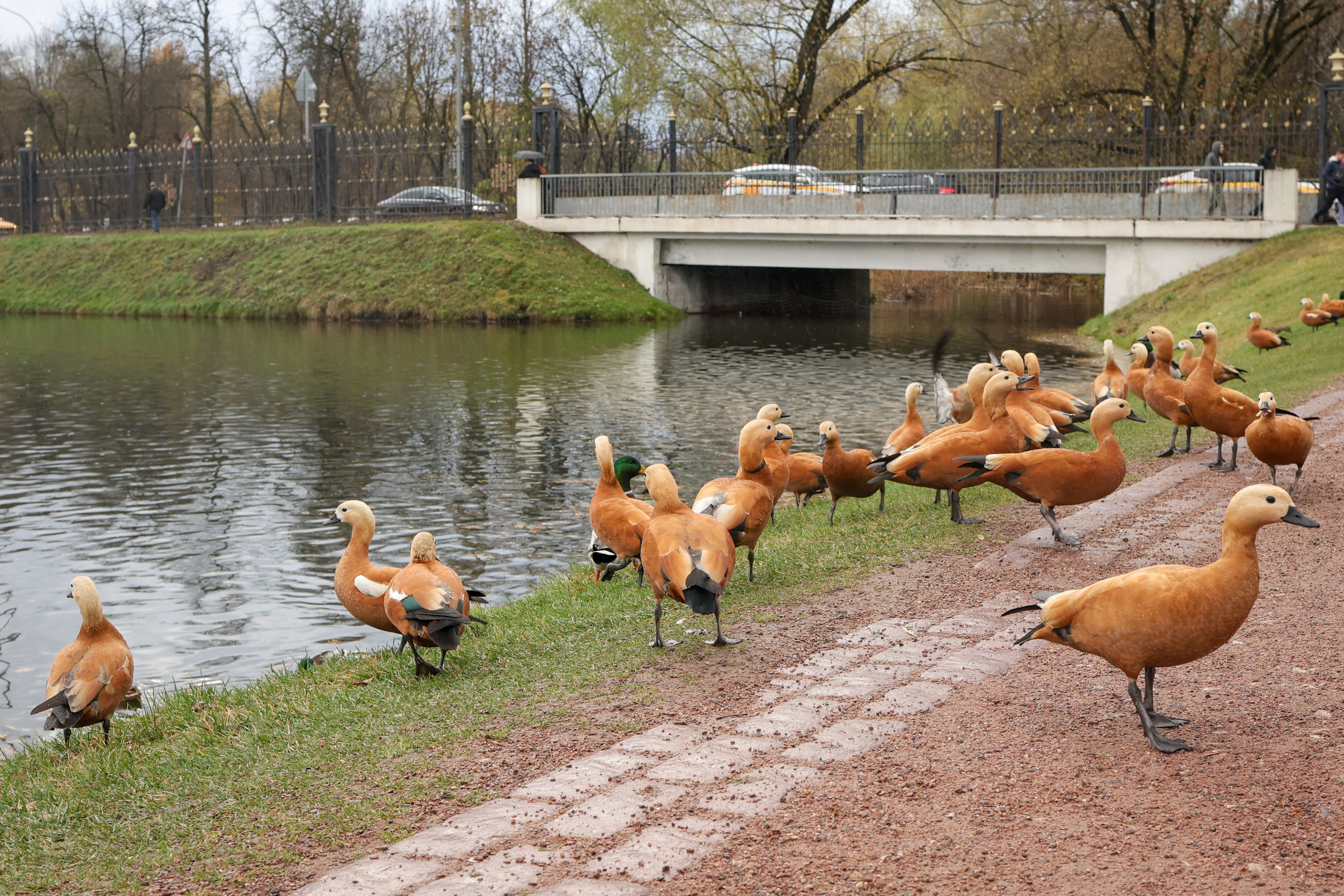 Прогулка в Парке. Фотограф Ольга, Детские и Семейные съемки в Москве и московской области
