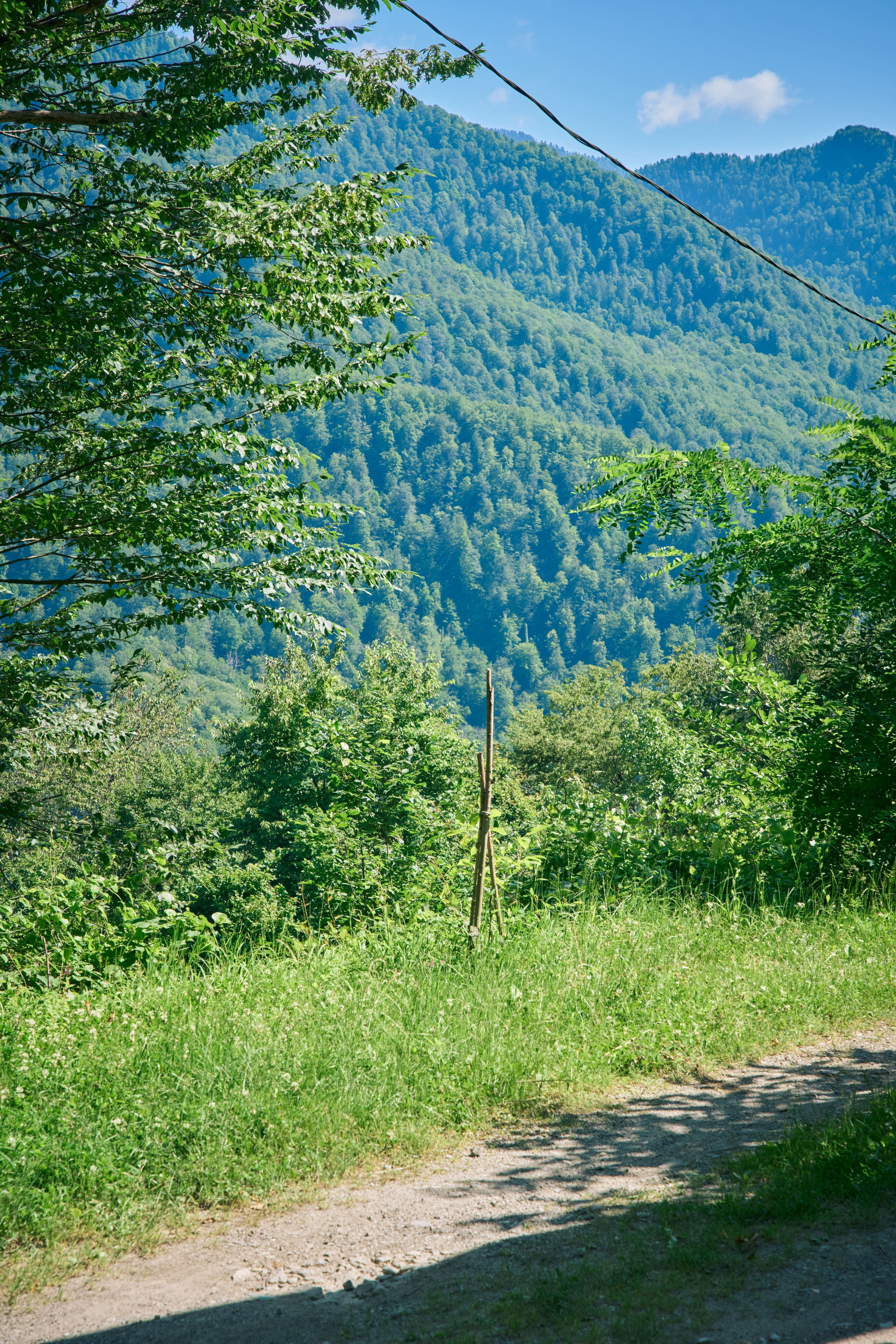 Съемка мероприятия на природе. Индивидуальный фотограф в Сочи Владимир Чудинов