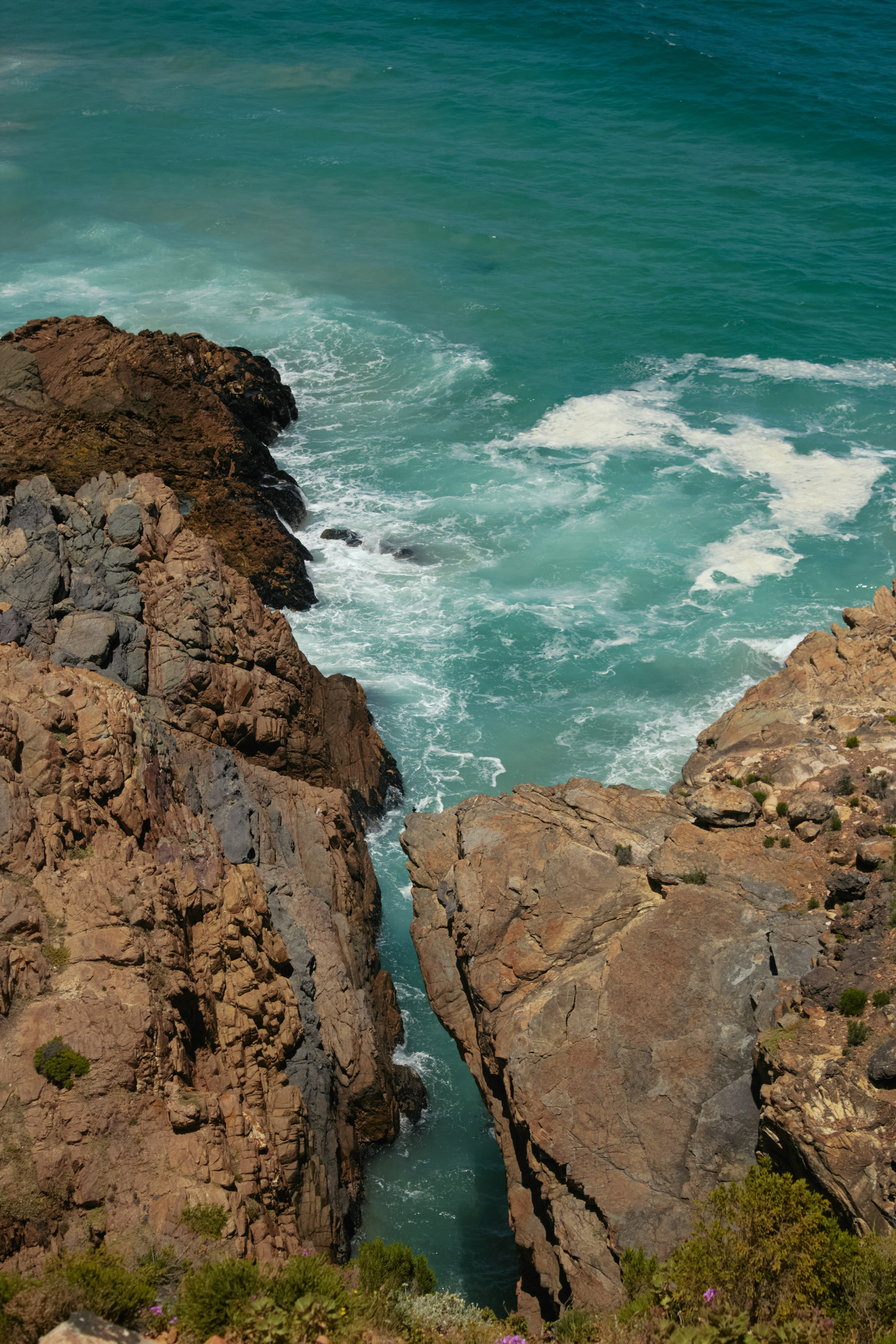 ЮАР. Профессиональный Фотограф во Владимире, в Москве и в Суздале — Полина Романычева