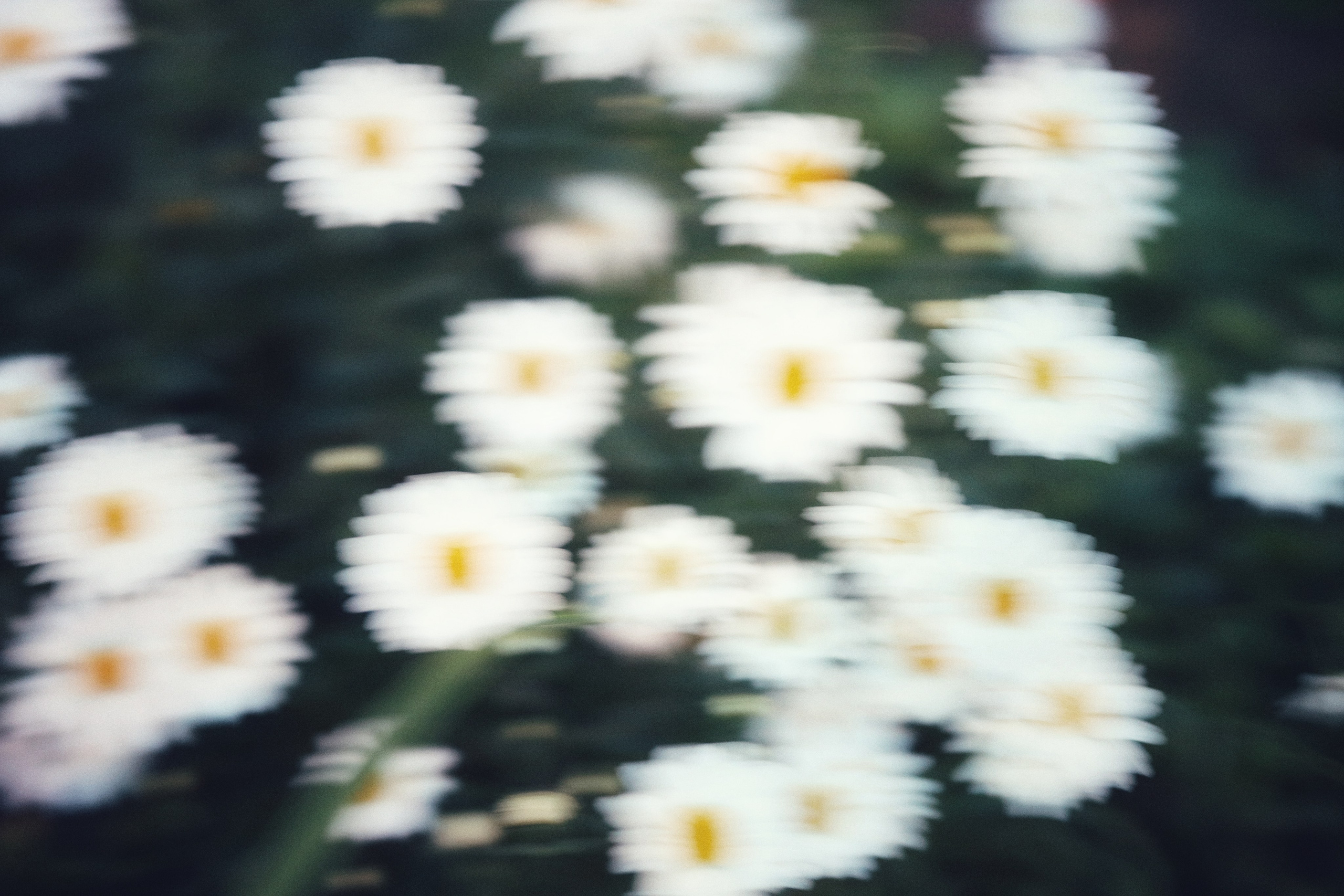 My beautiful days / Moscow 2024. POLINA MÔMOT