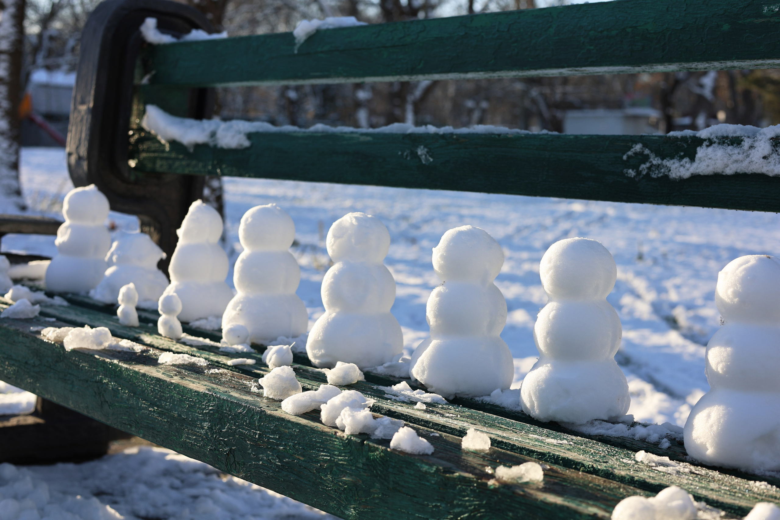 Дарья и Оскар. Семейный и портретный фотограф в Краснодарском крае, Ростовской области и Москве