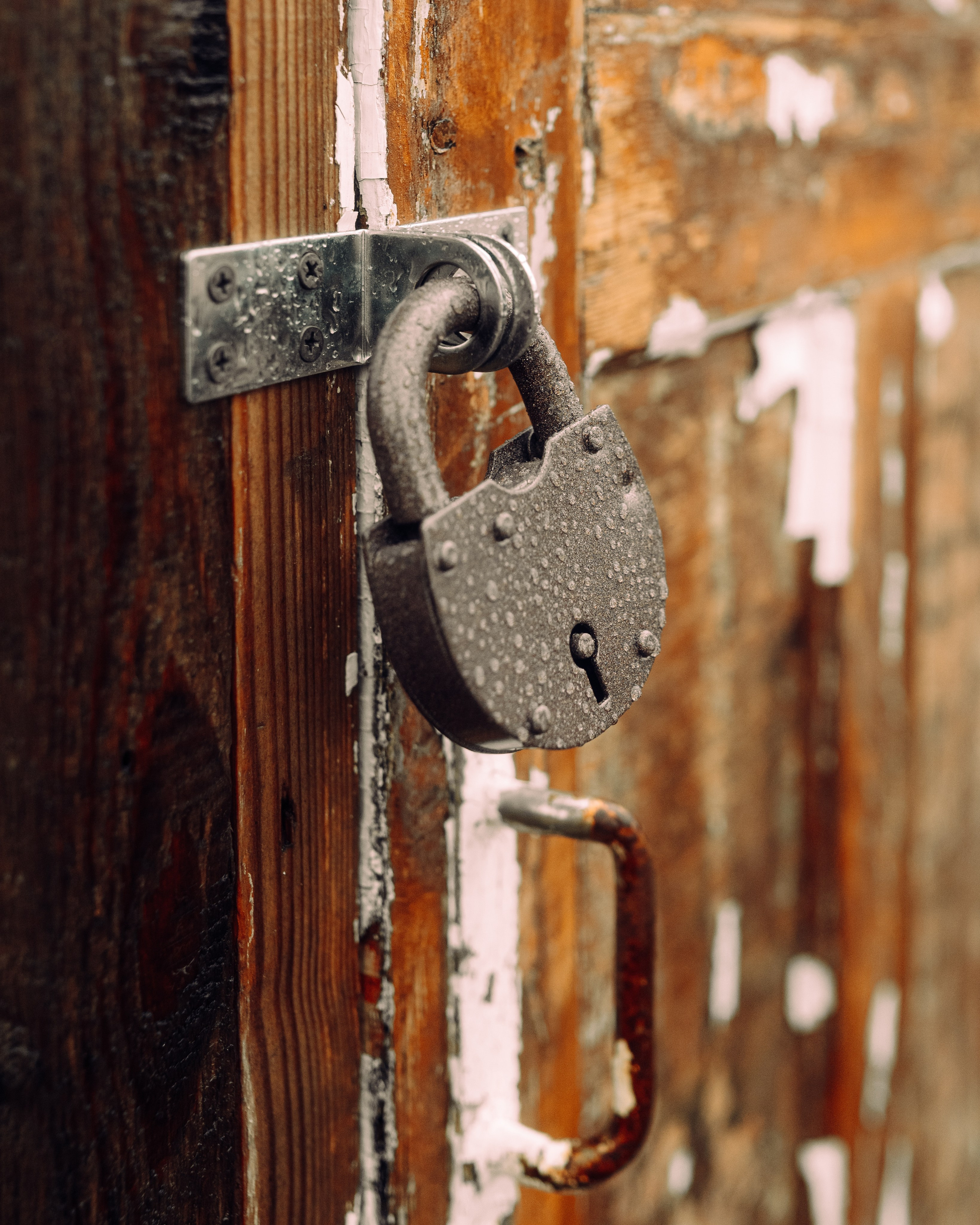 DOOR. Фотоведьма Дарья Нечинская