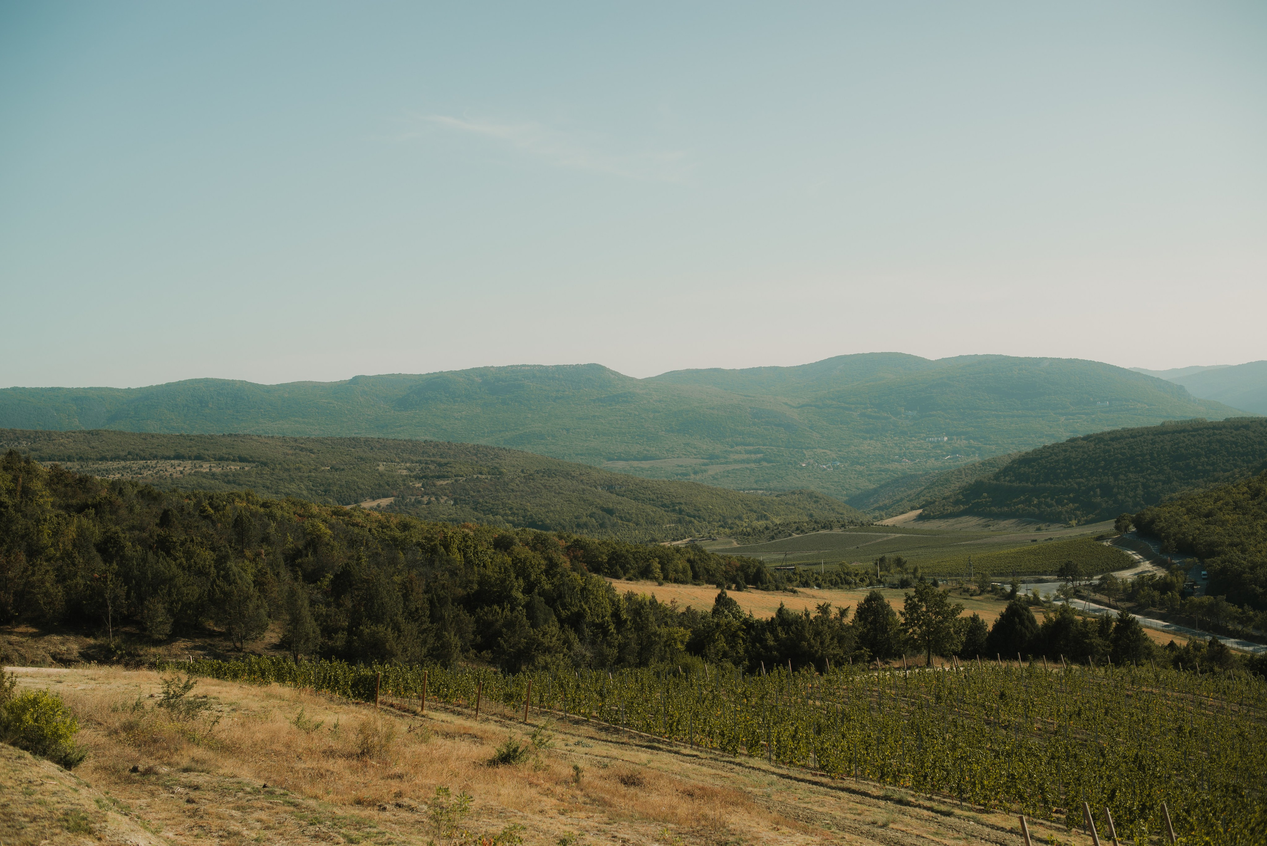 Ярослав и Дарья (Родное гнездо). Свадебный, женский, семейный фотограф в Севастополе Юлия Мошенко