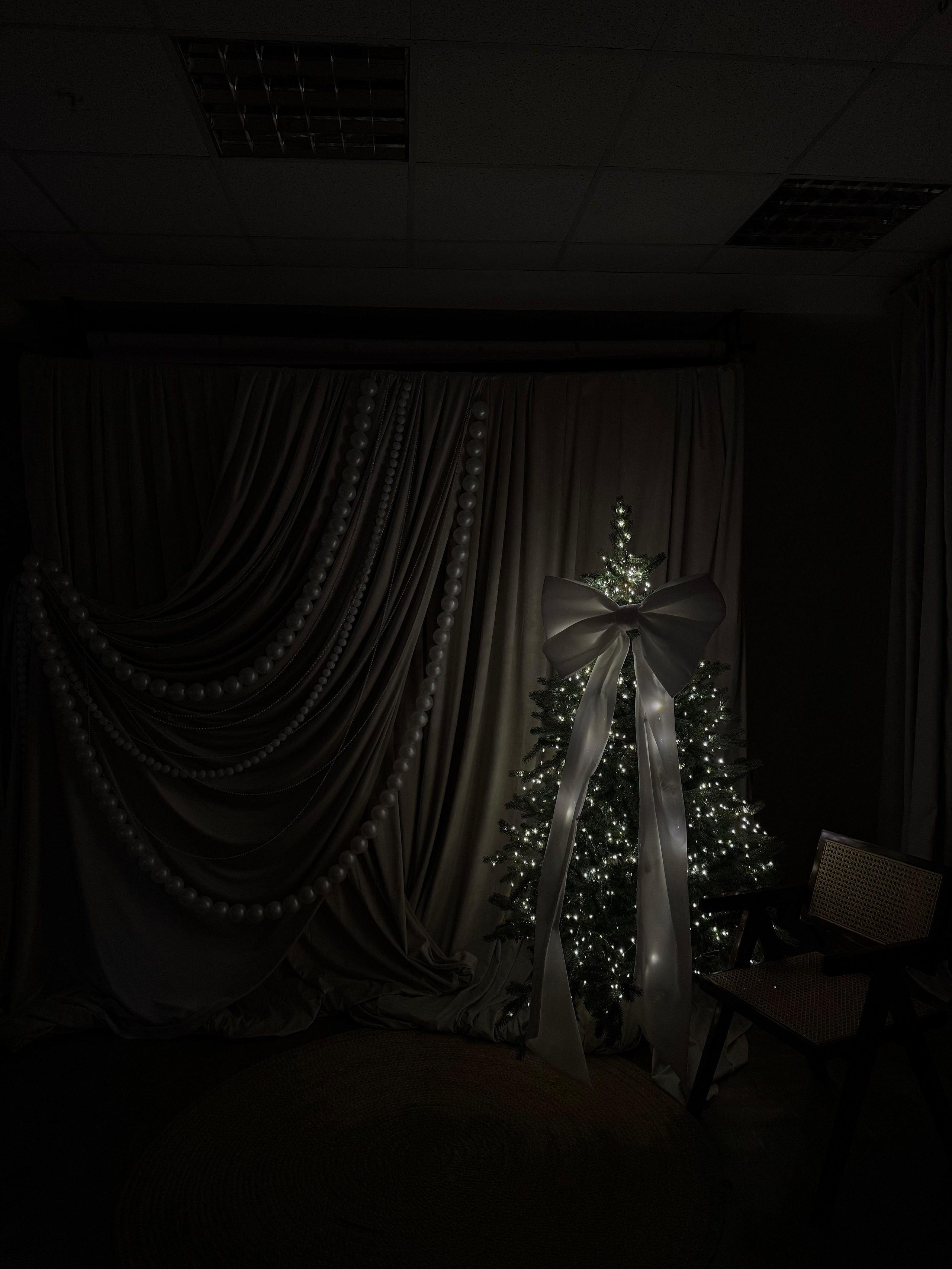 НГ 2025-2026. Фотограф НатаФото (Наталья Яковенко) Дмитров Москва Питер