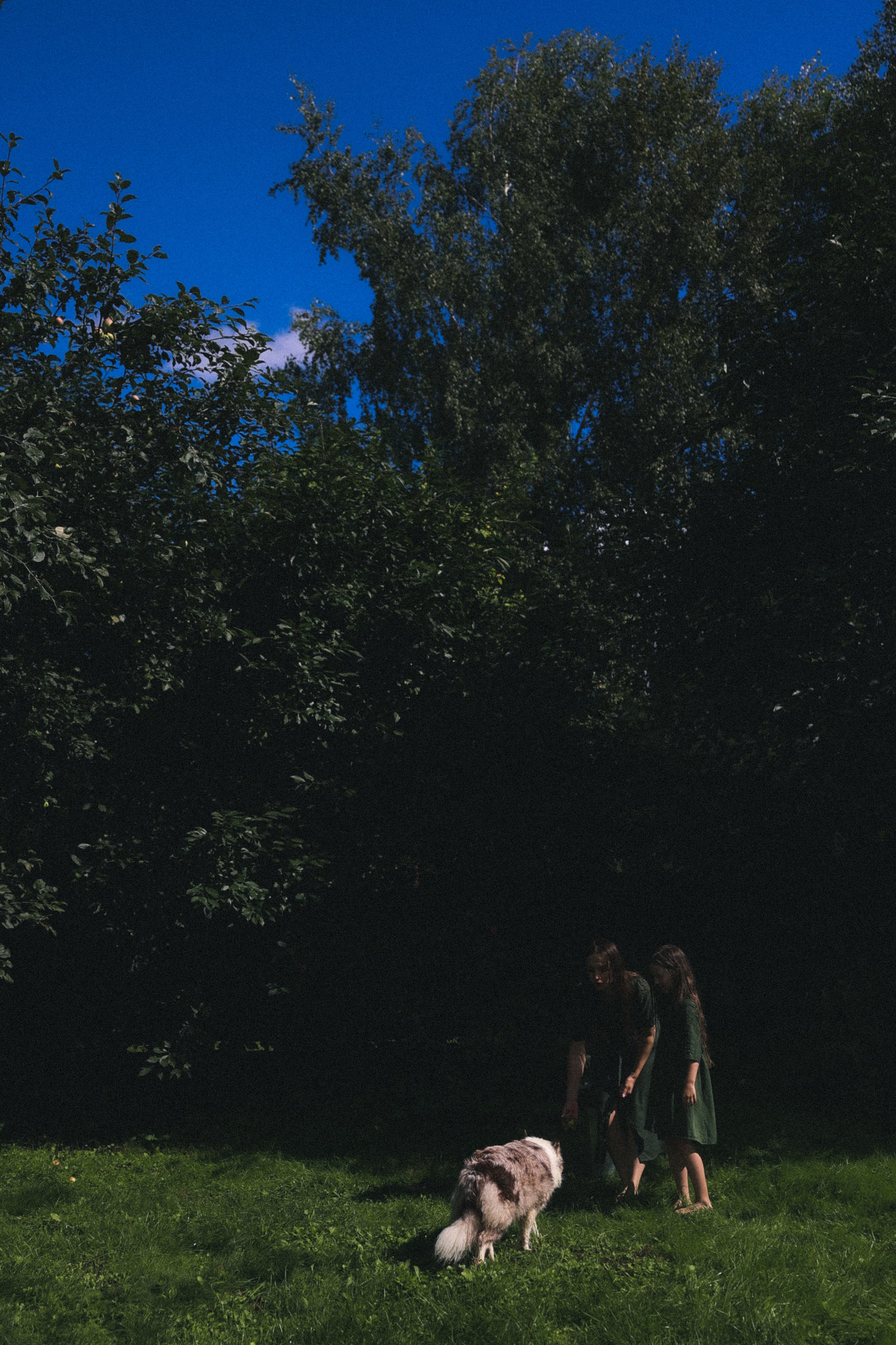 Мокрые девчонки. Фотограф НатаФото (Наталья Яковенко) Дмитров Москва Питер