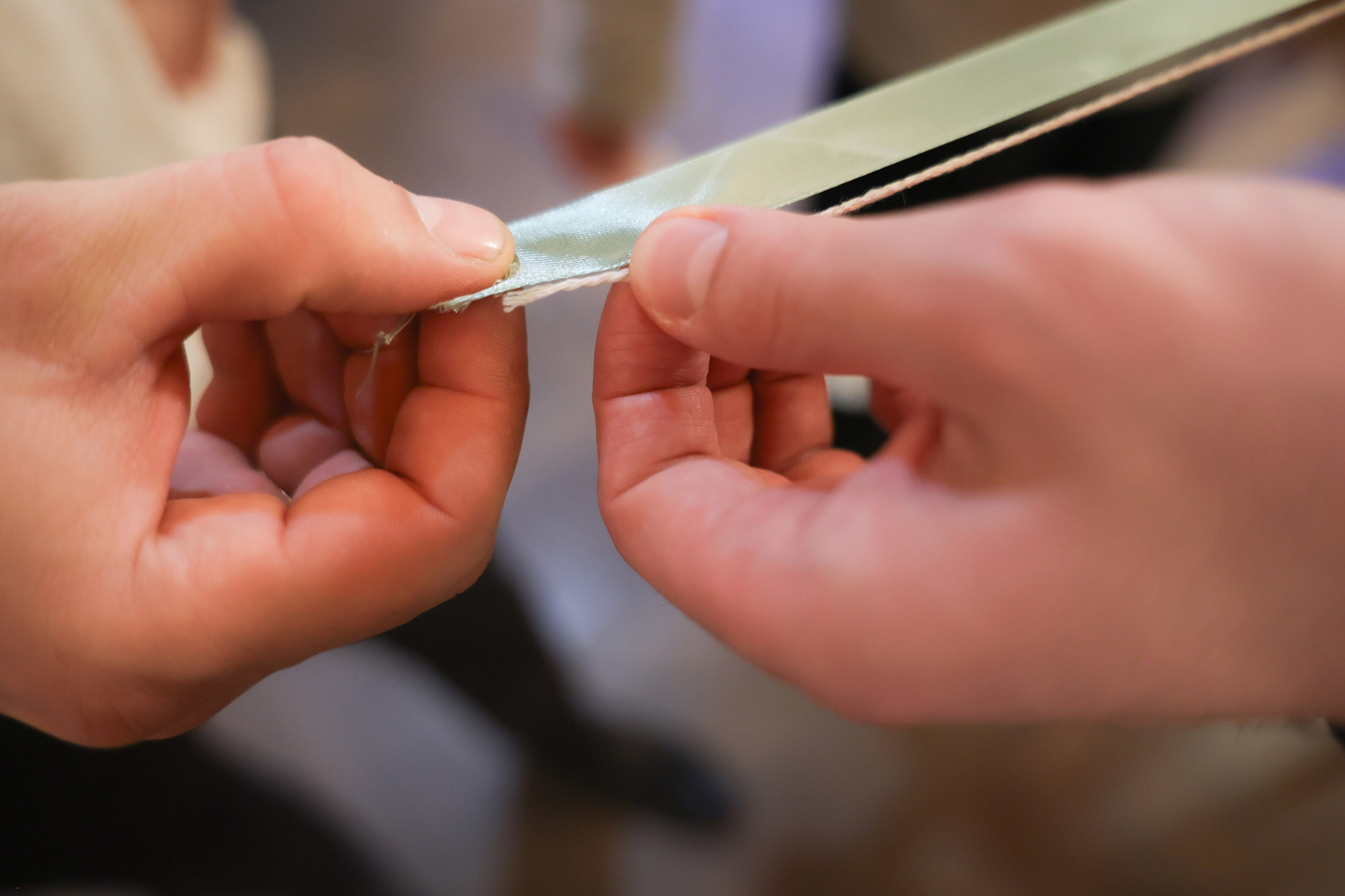 Серафимыч в пути. Фотограф НатаФото (Наталья Яковенко) Дмитров Москва Питер