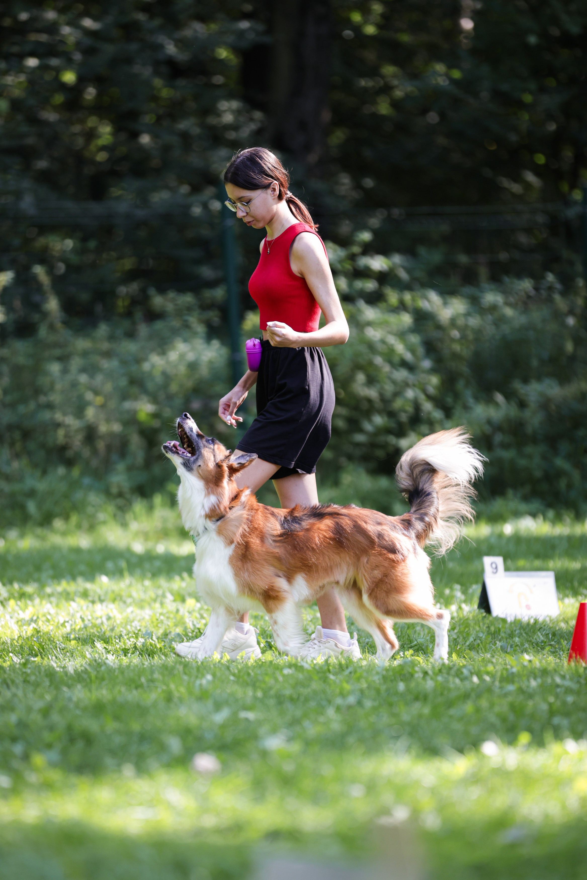 Репортажная съёмка спортивных мероприятий. ESHE_PHOTO Фотограф анималист в Москве и Московской области