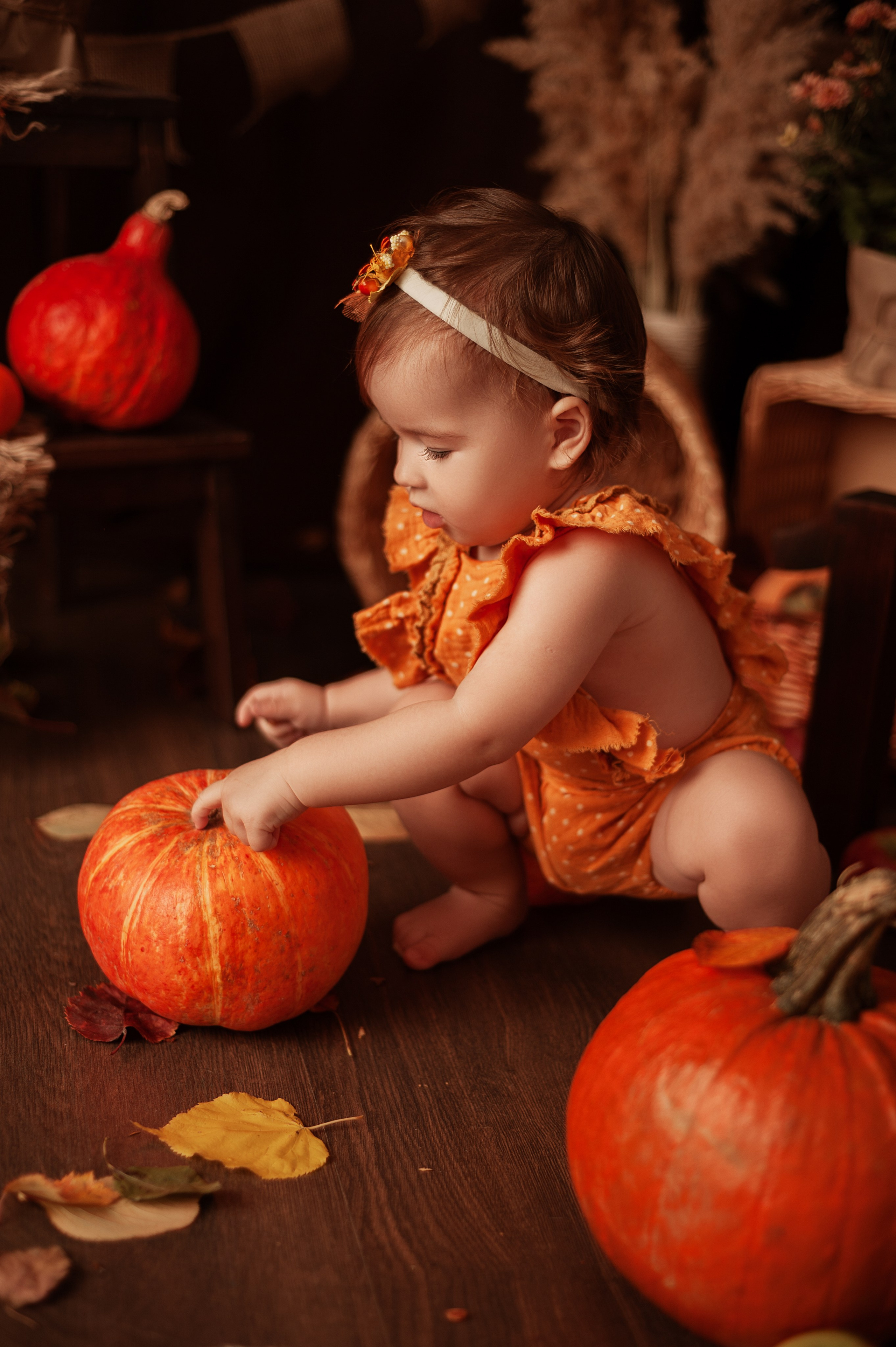 Цены. Детский и семейный фотограф в Люберцах Татьяна Ткаченко