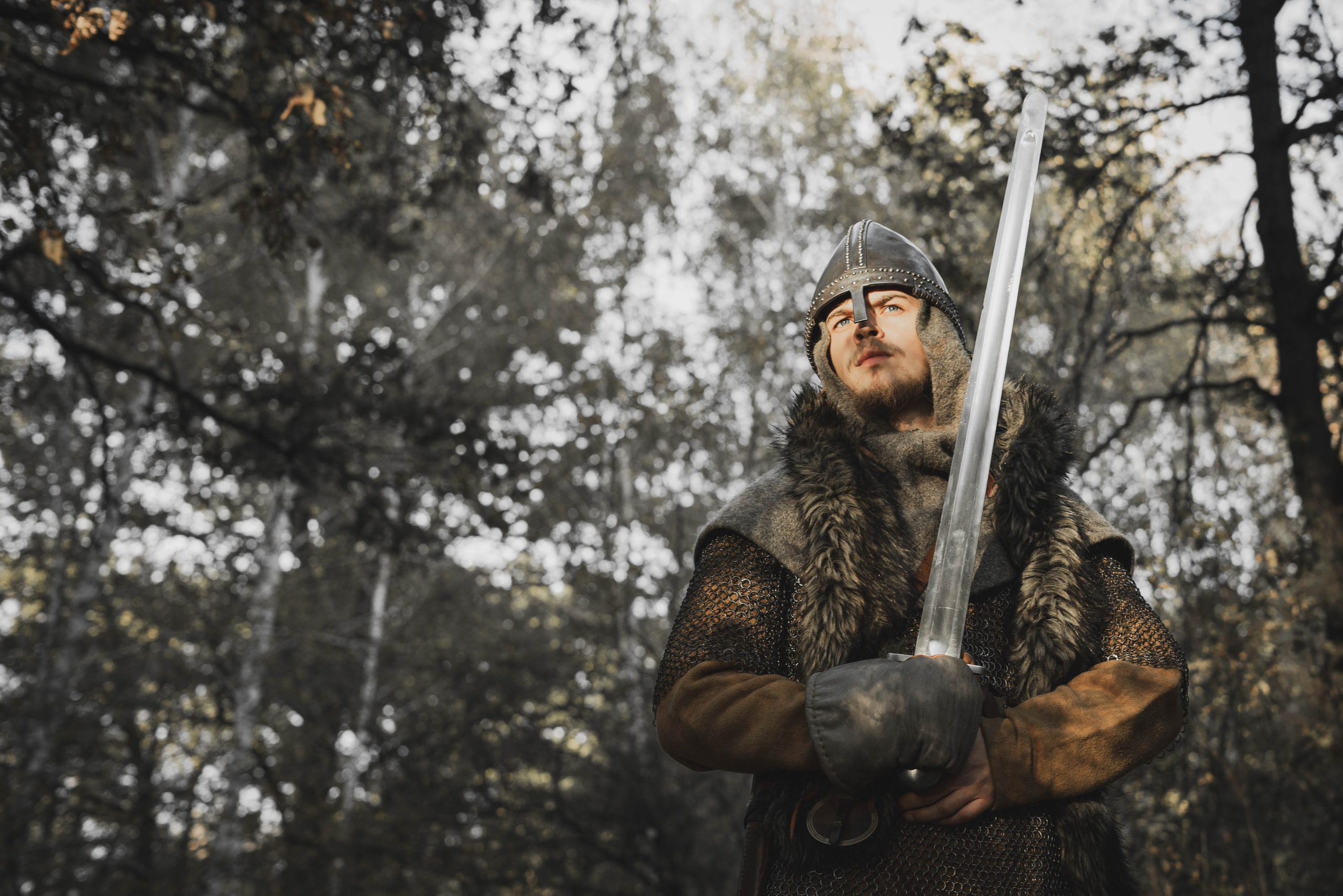 Викинг. Ab extra