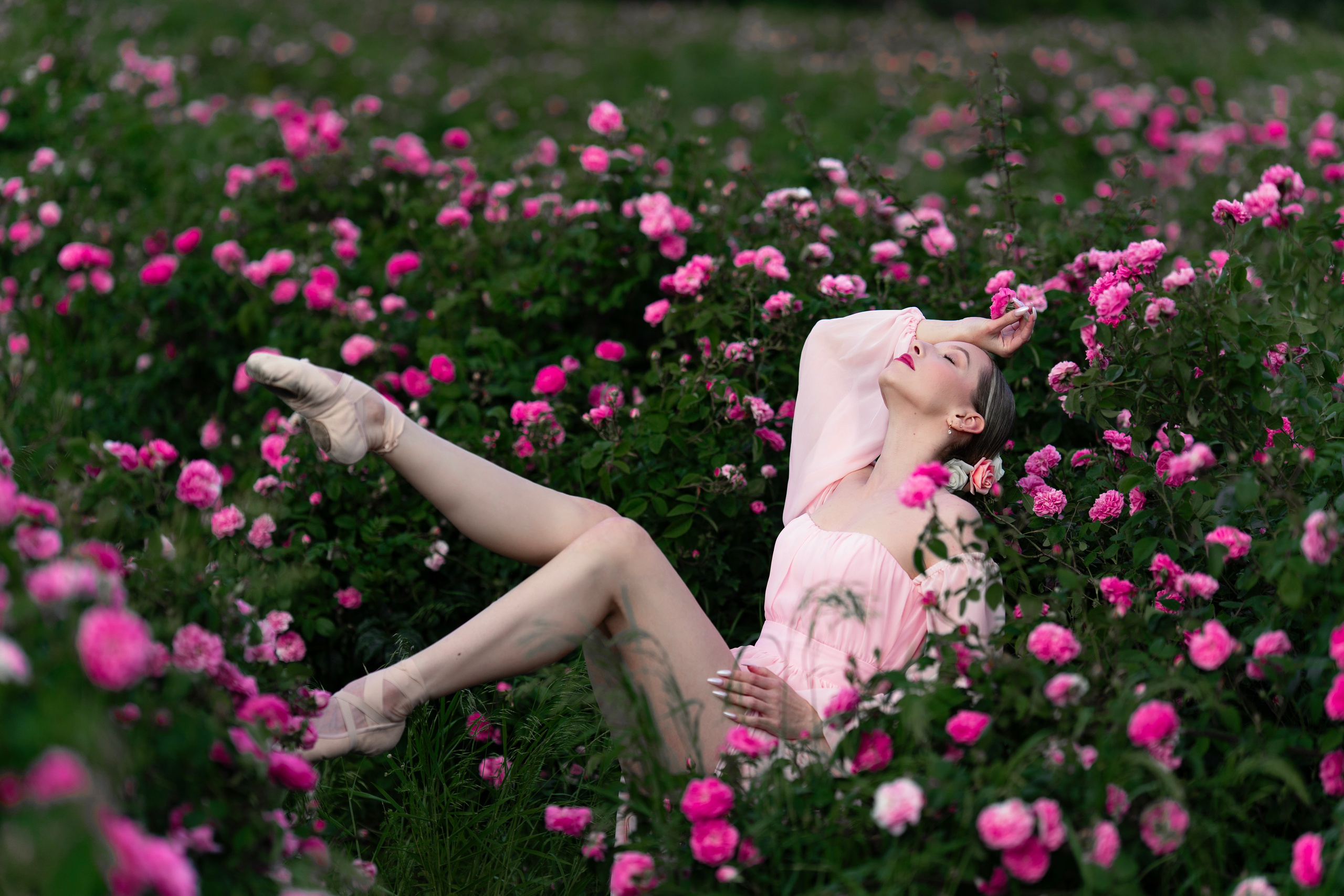 Розы. Фотограф в Крыму Лебедева Александра