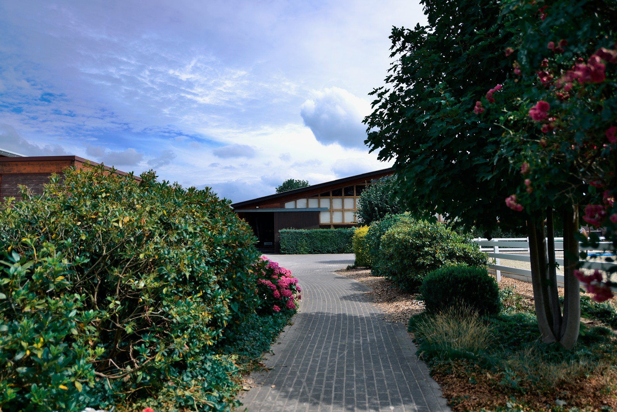 ЕС. Конный фотограф Alesya Safe