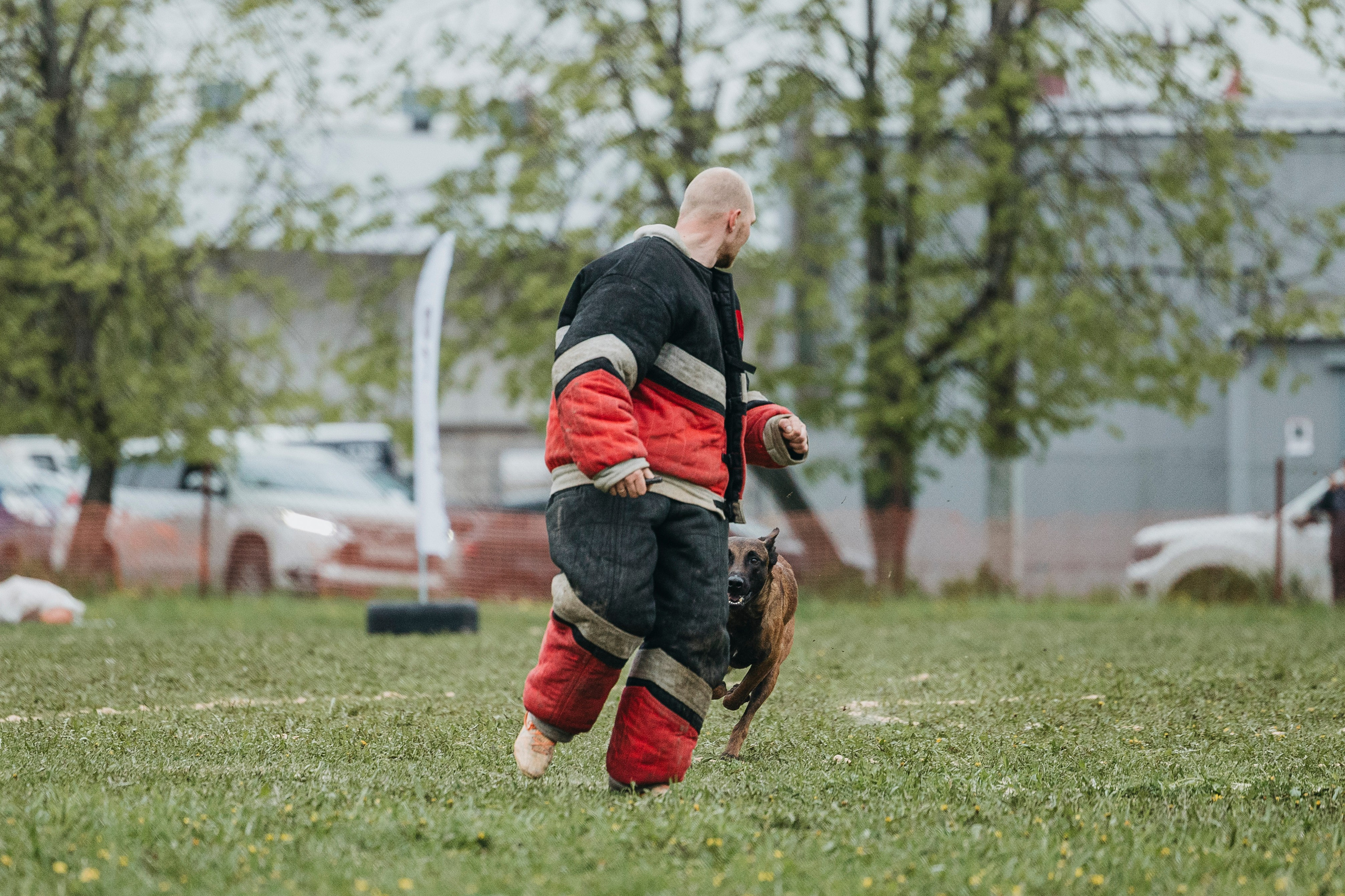26.05.25 г. Пушкин квалификационные соревнования. Фотограф-анималист Анна Маринич