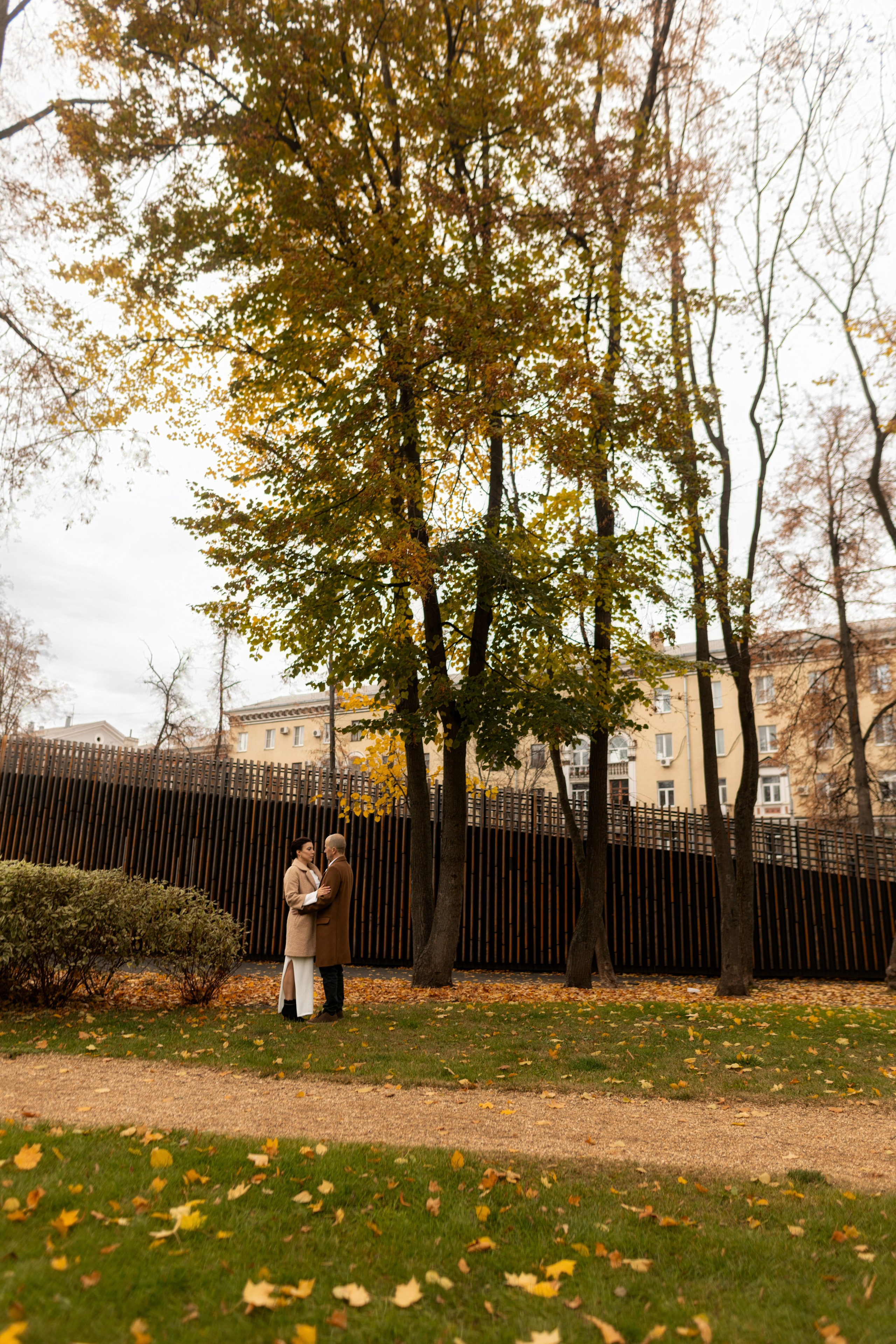 Алексей и Евгения. Свадебная прогулка в позднем октябре. Дмитрий Шульгин, портретный фотограф в Воронеже