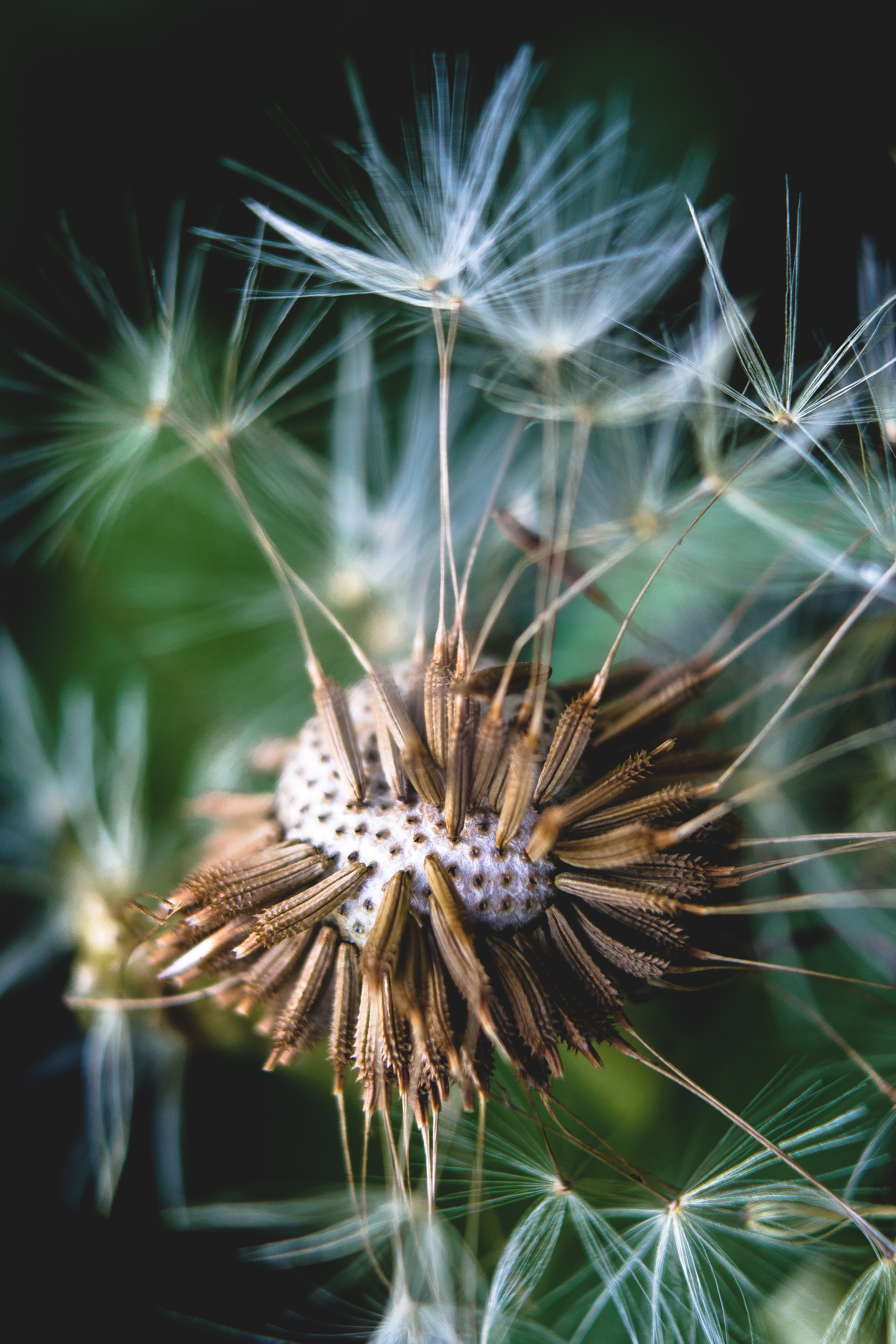 Природное. Обо всём