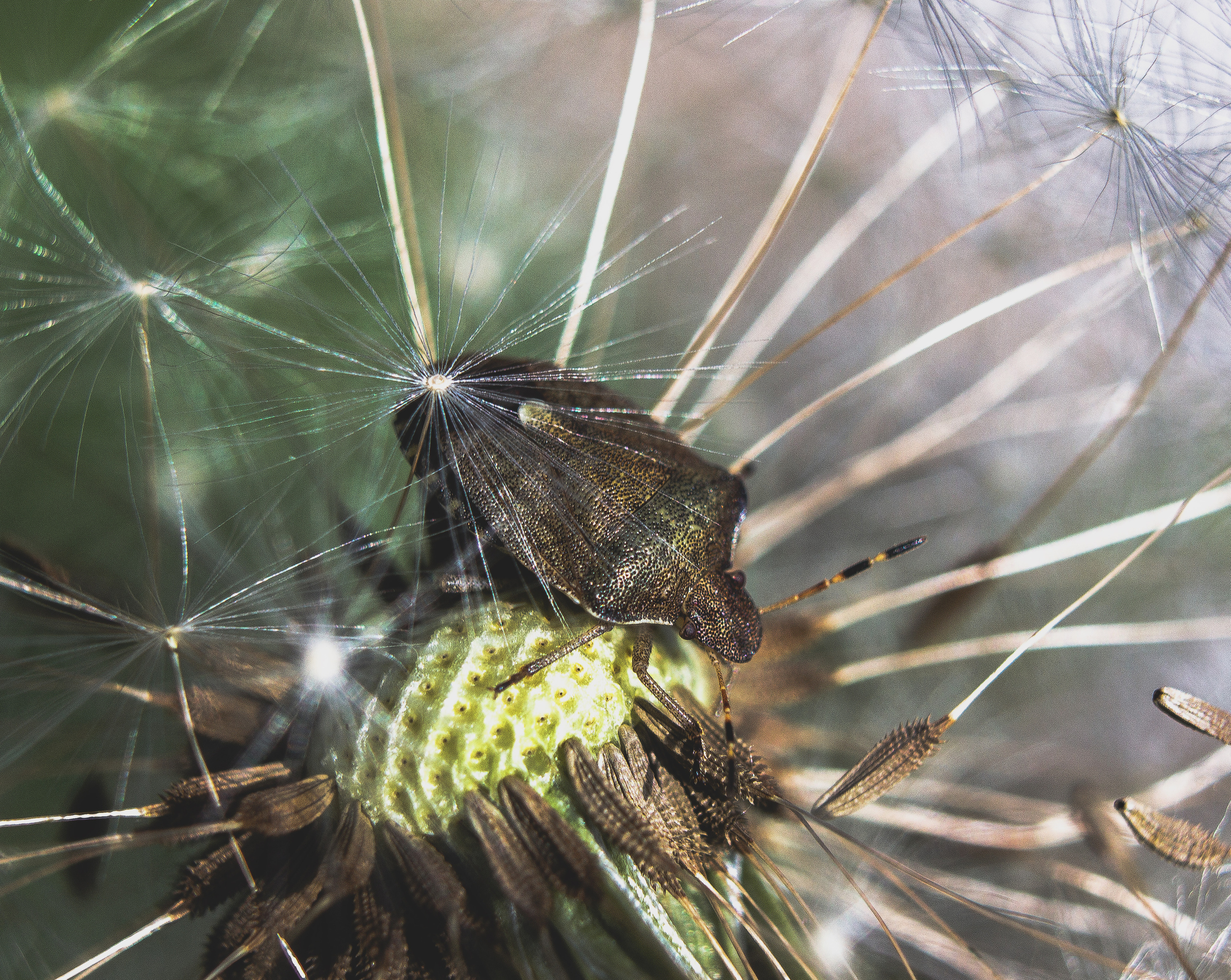 Макро. Обо всём