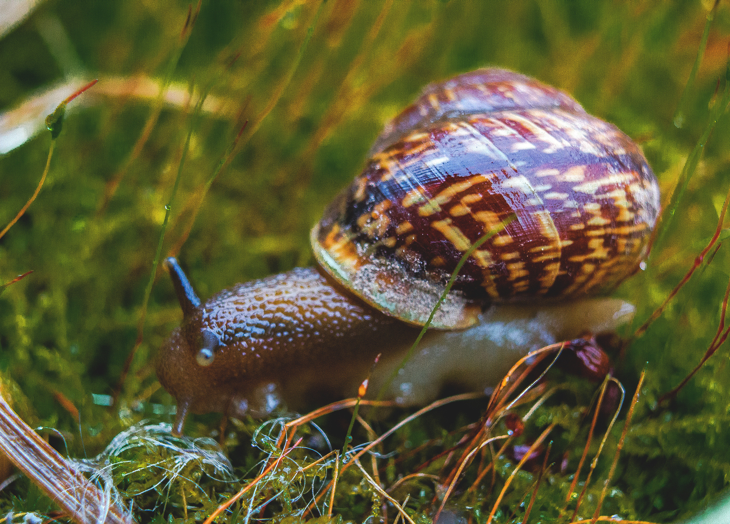 Макро. Обо всём