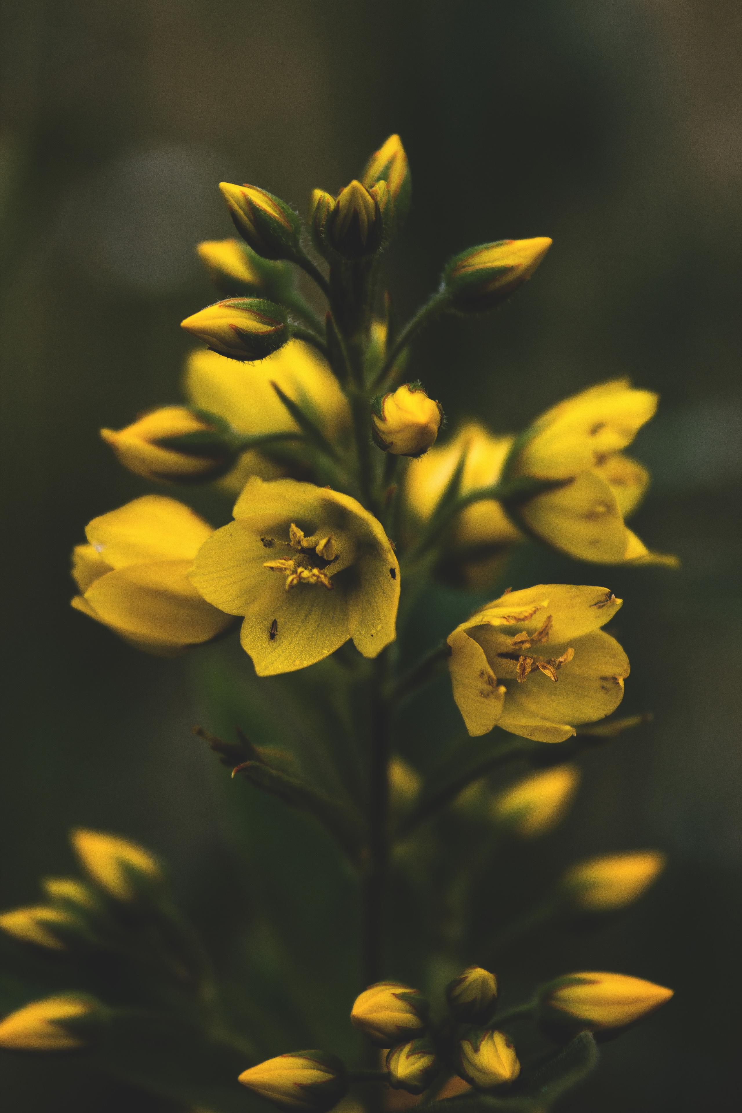 Природное. Обо всём