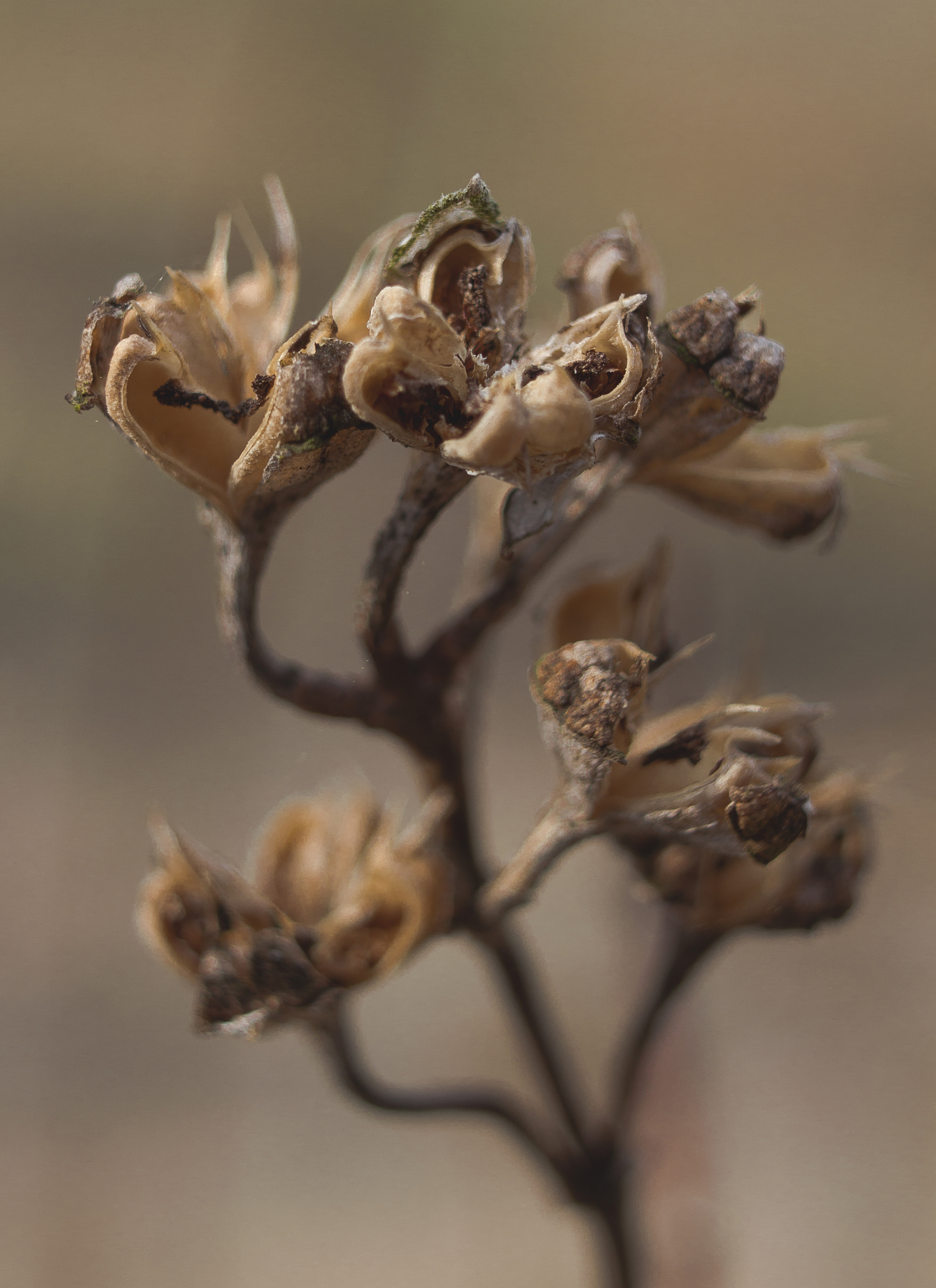 Природное. Обо всём
