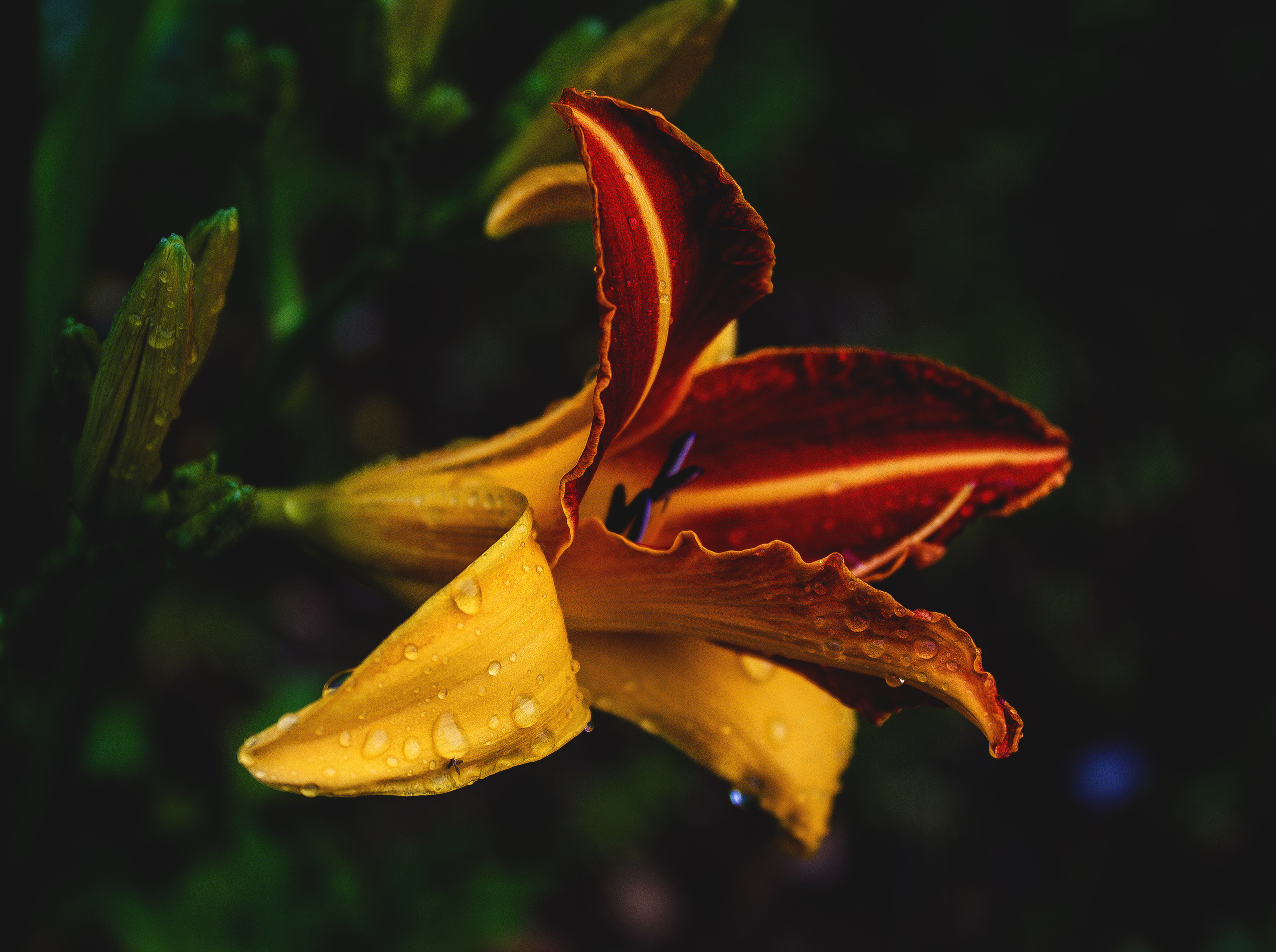 Природное. Обо всём