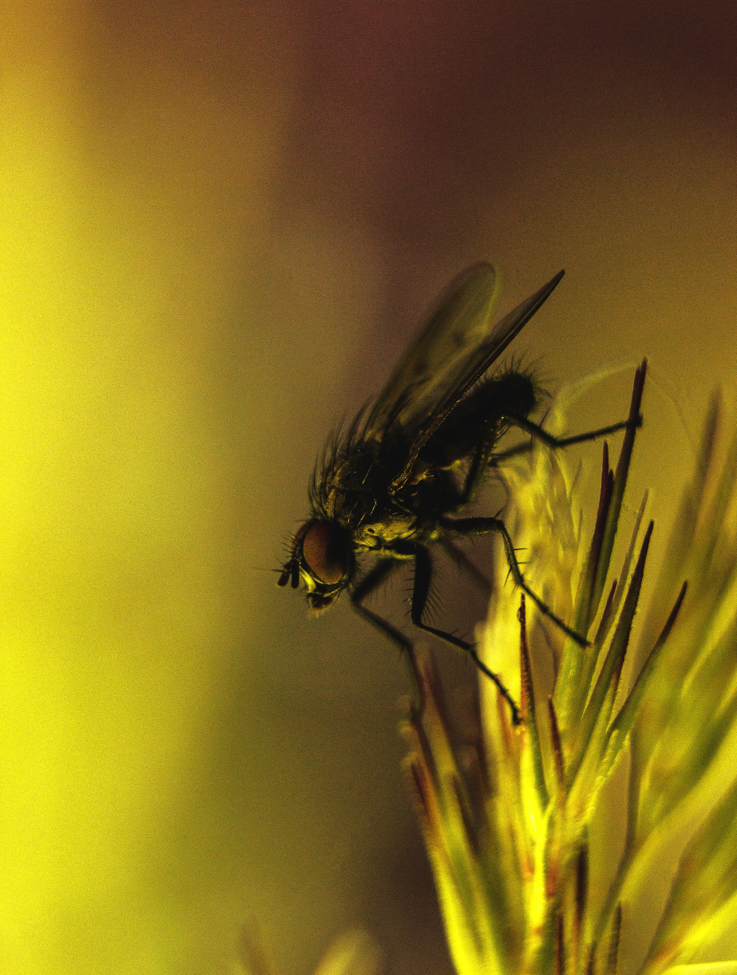 Макро. Обо всём