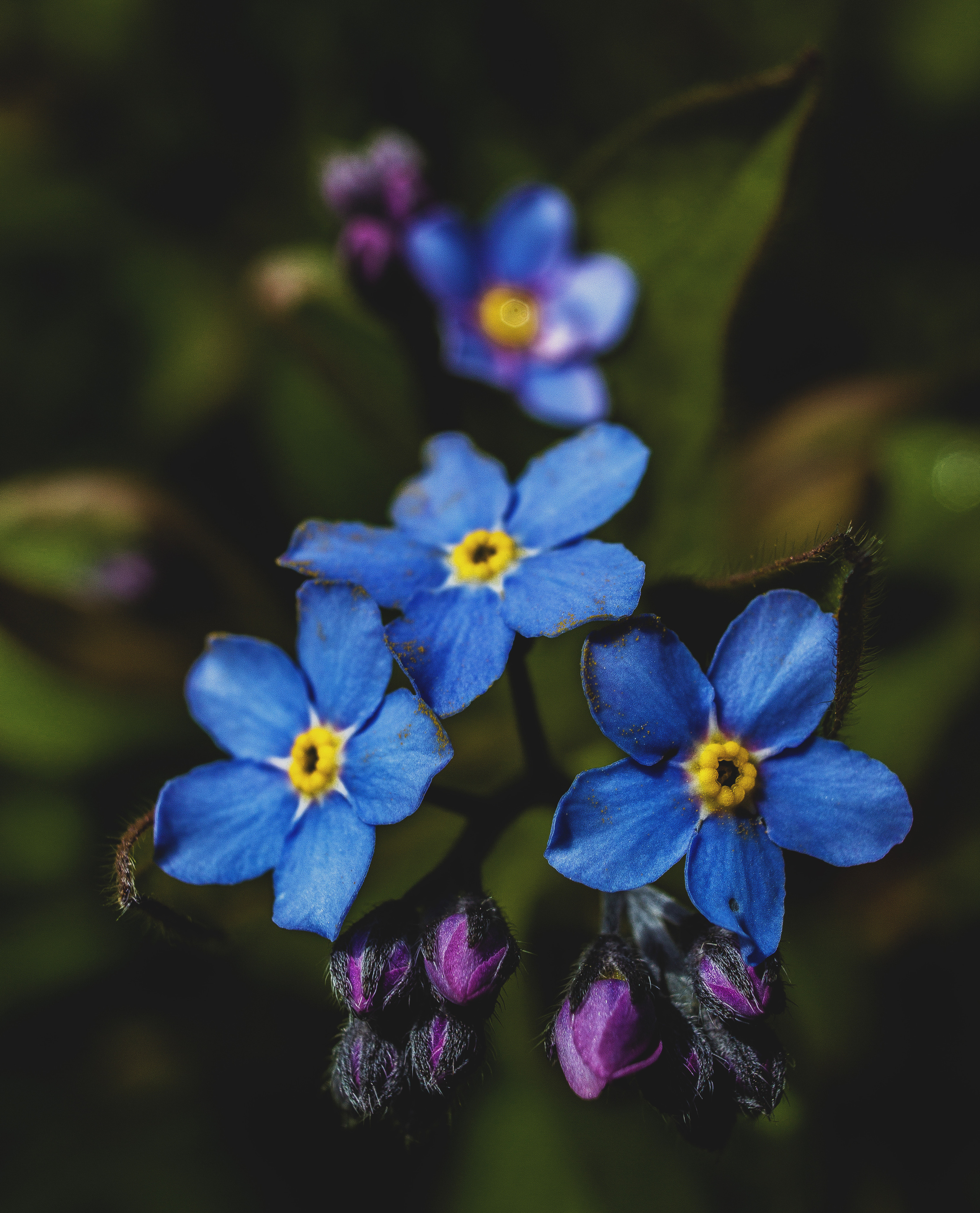 Природное. Обо всём