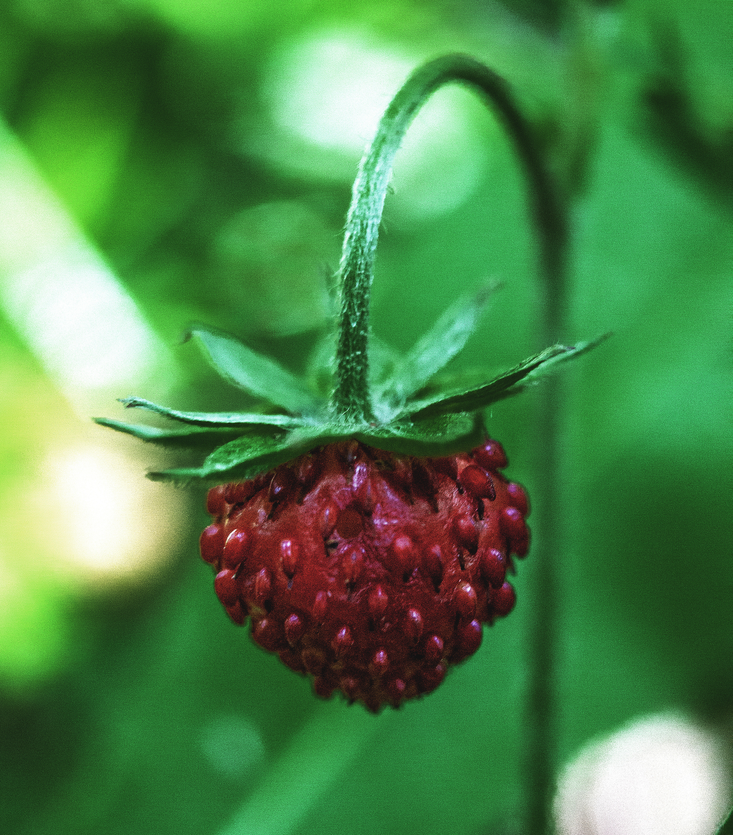 Природное. Обо всём