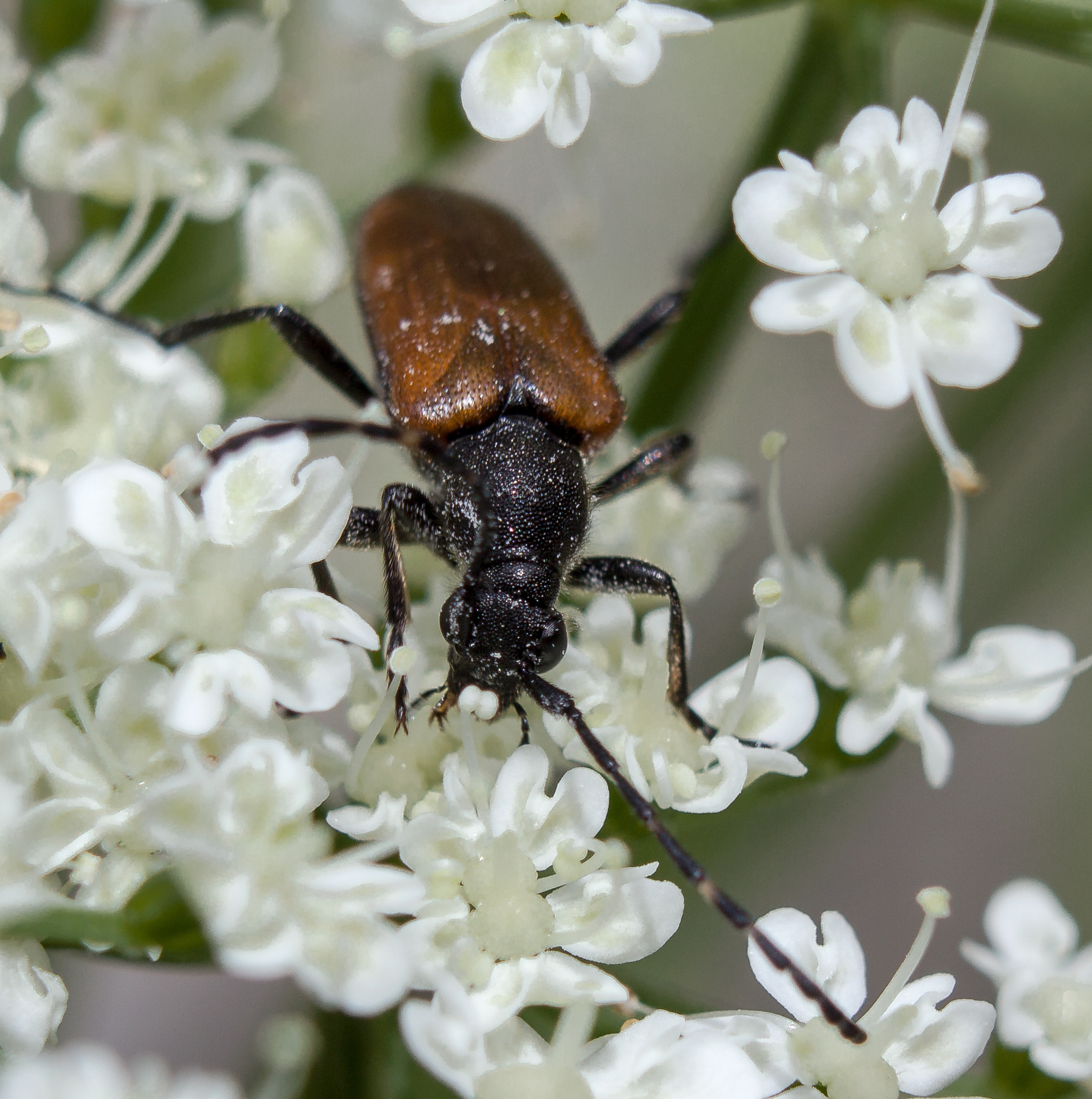 Макро. Обо всём