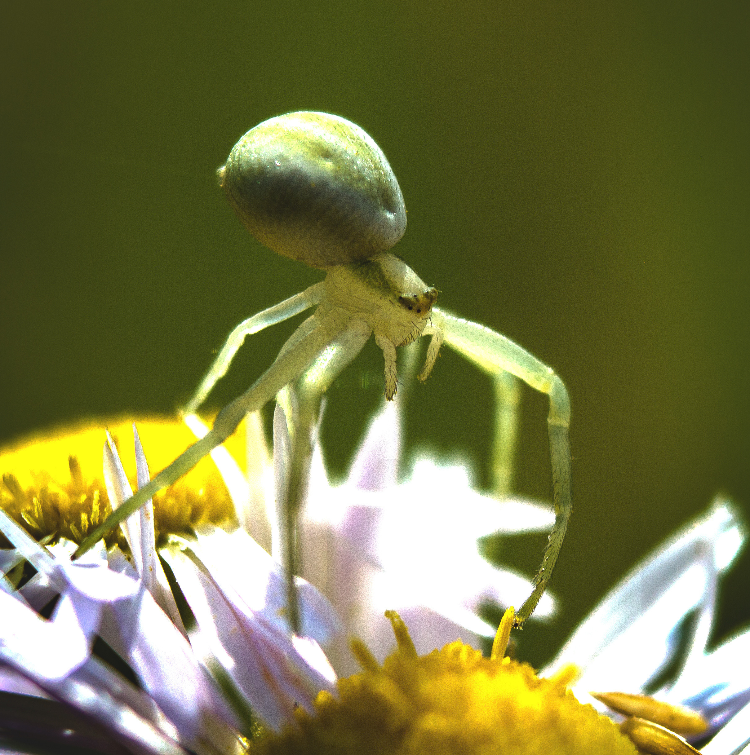 Макро. Обо всём