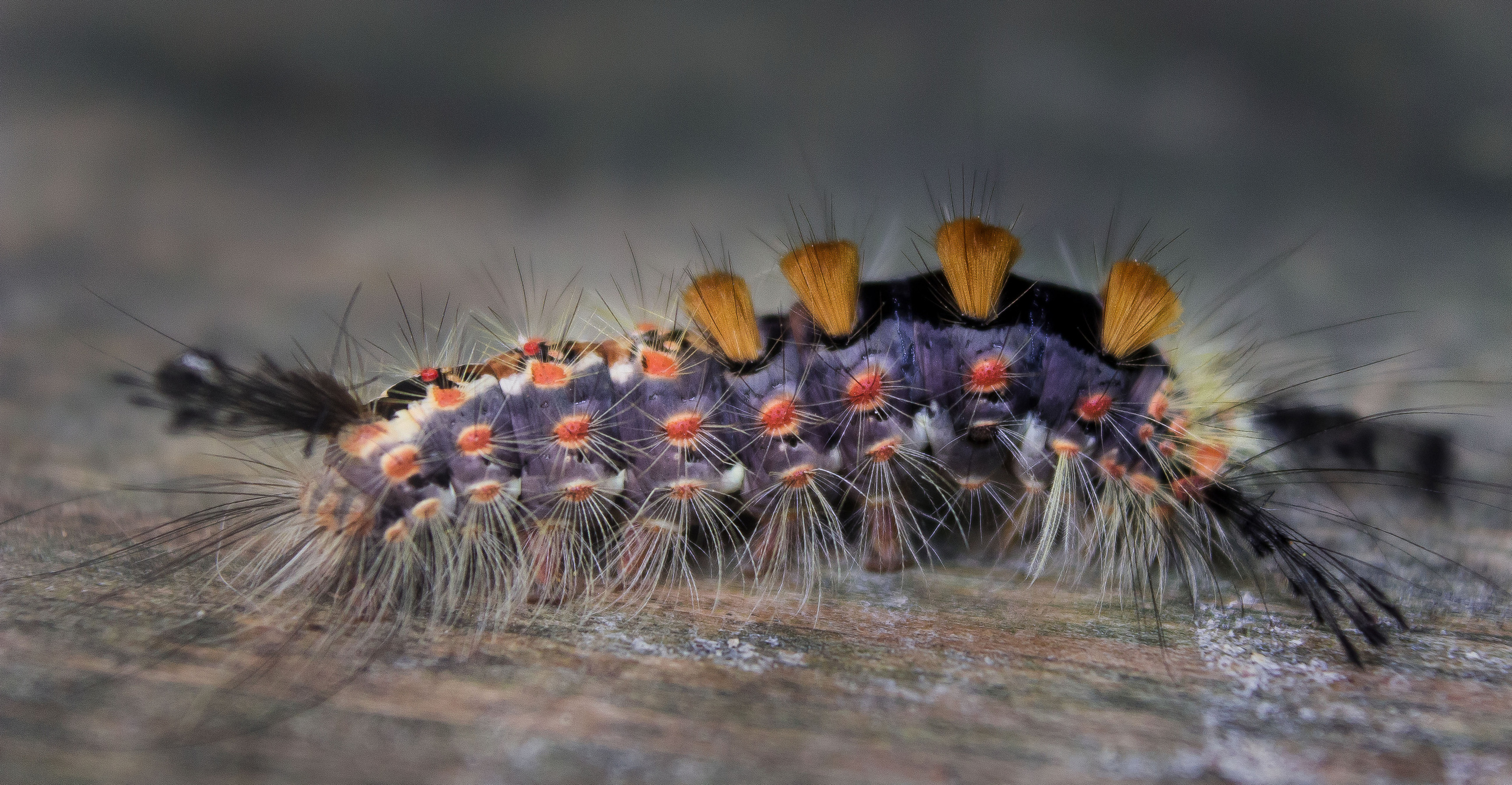 Макро. Обо всём