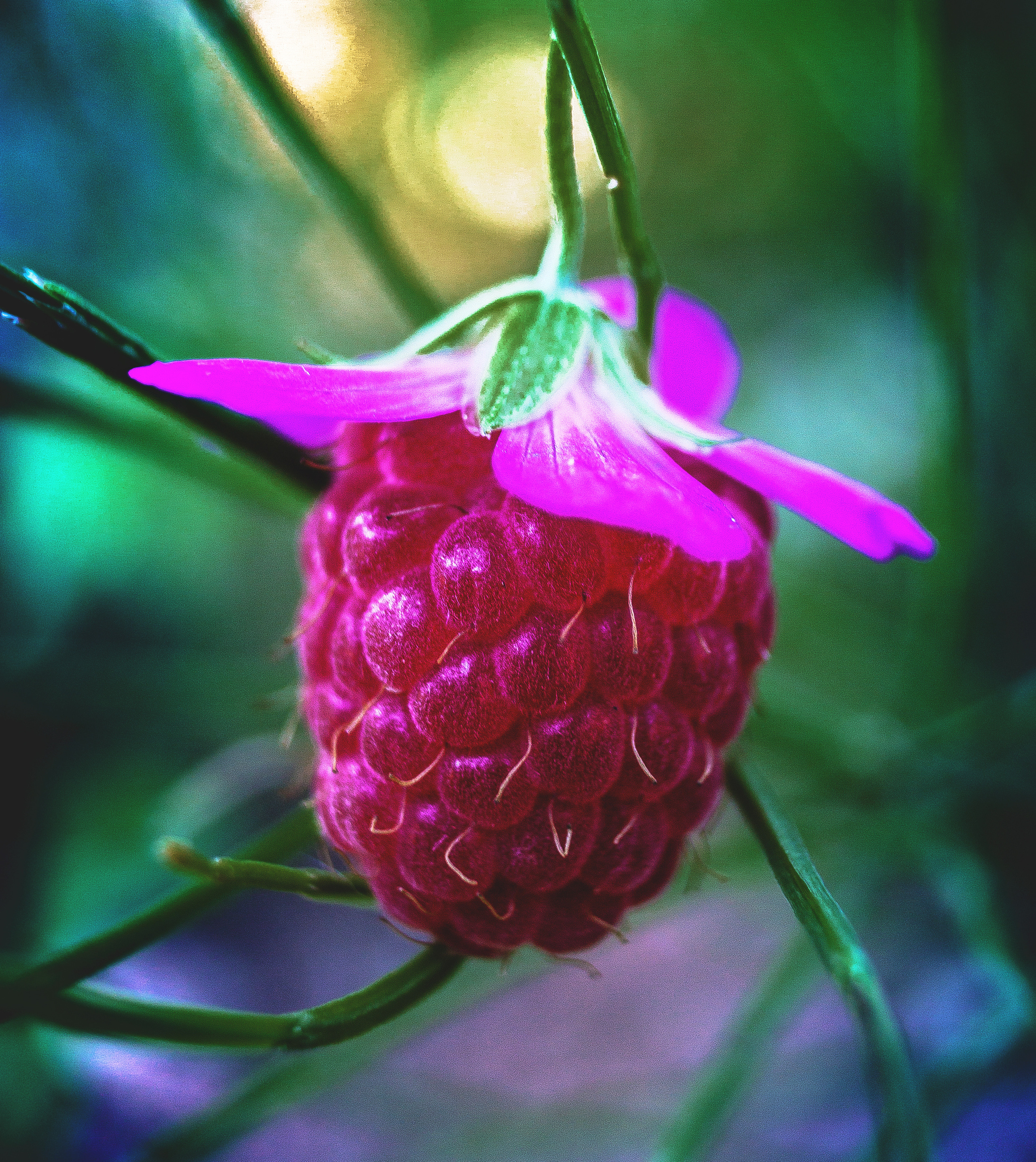 Природное. Обо всём