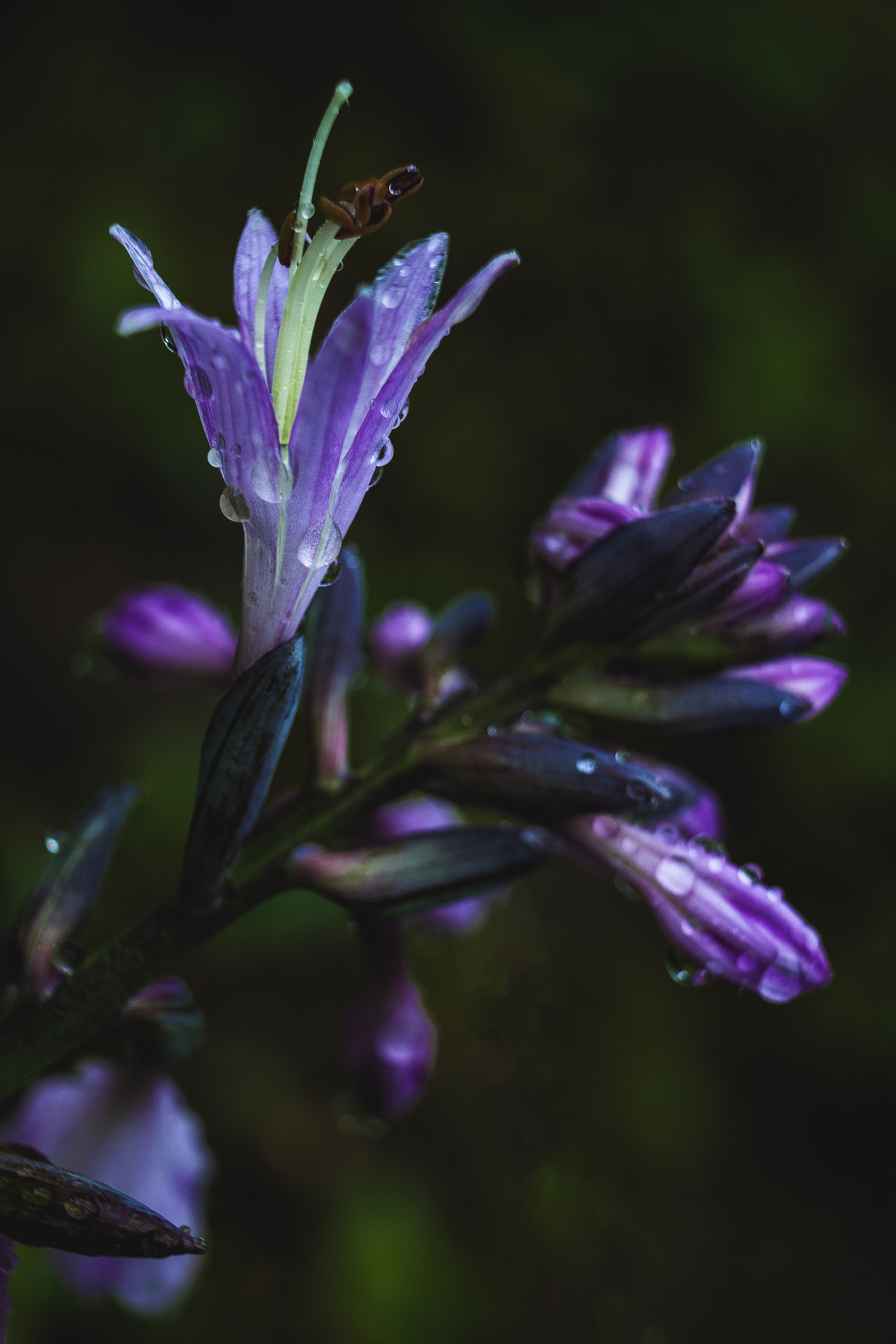 Природное. Обо всём